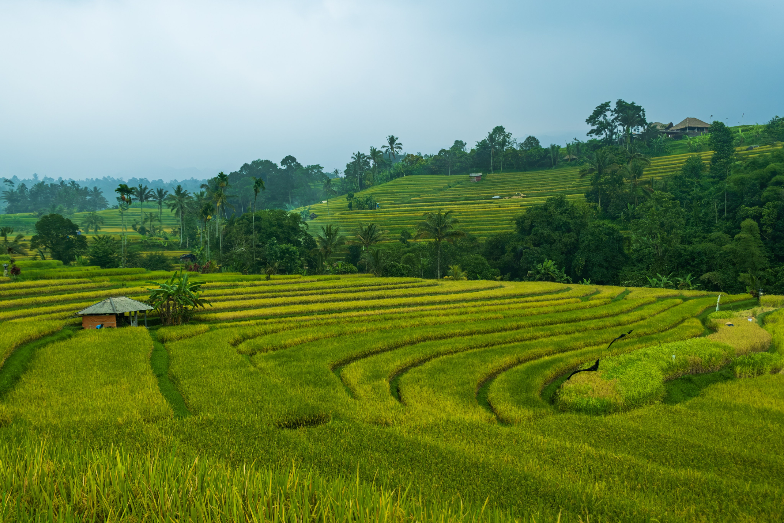 Остров Бали. Фотографии из путешествий