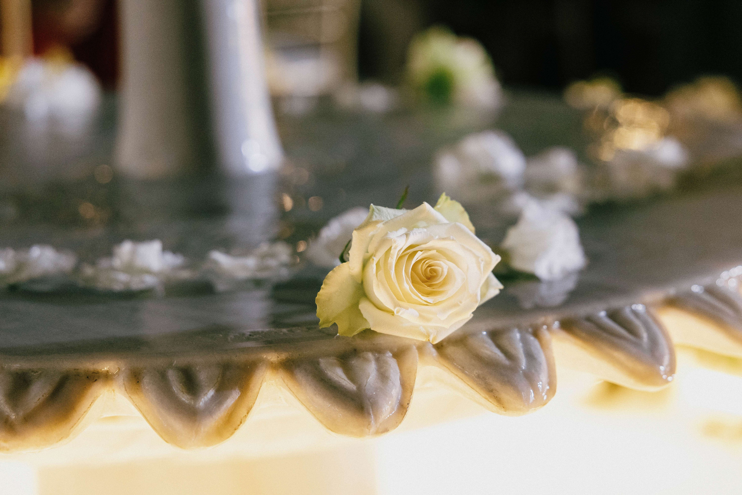 Wedding day Nadya+Viktor. About