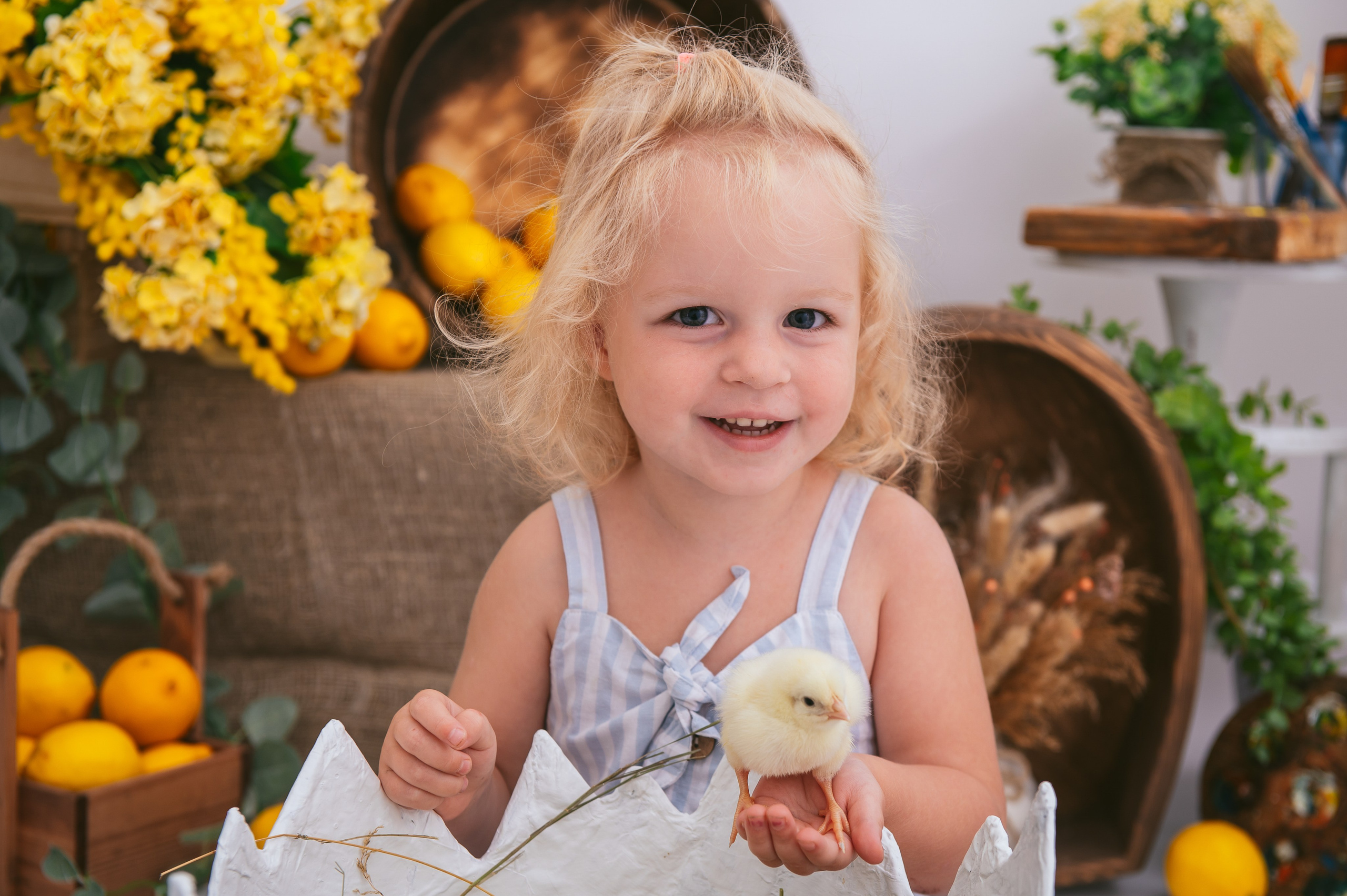 Цыплята. Детский фотограф Магадан