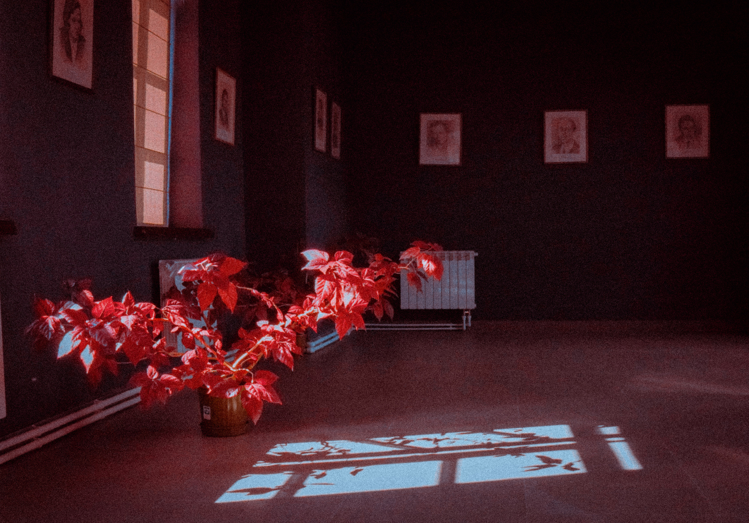 Уличная и репортажная фотография. Репортажный фотограф в Москве Светлана Мулыкина