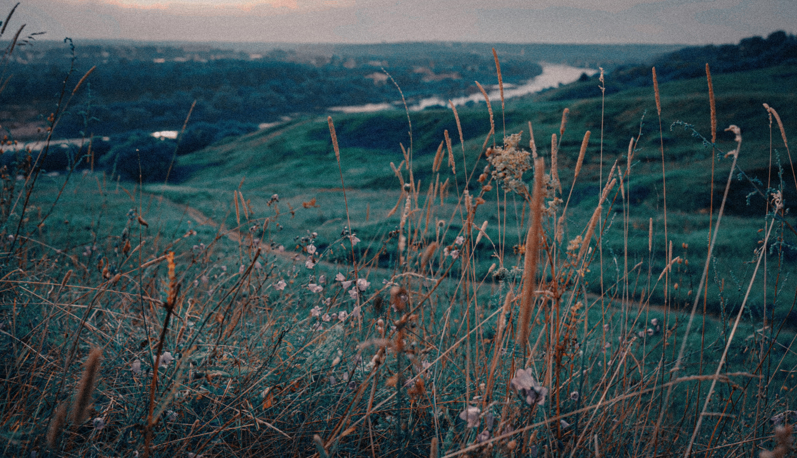 Уличная и репортажная фотография. Репортажный фотограф в Москве Светлана Мулыкина