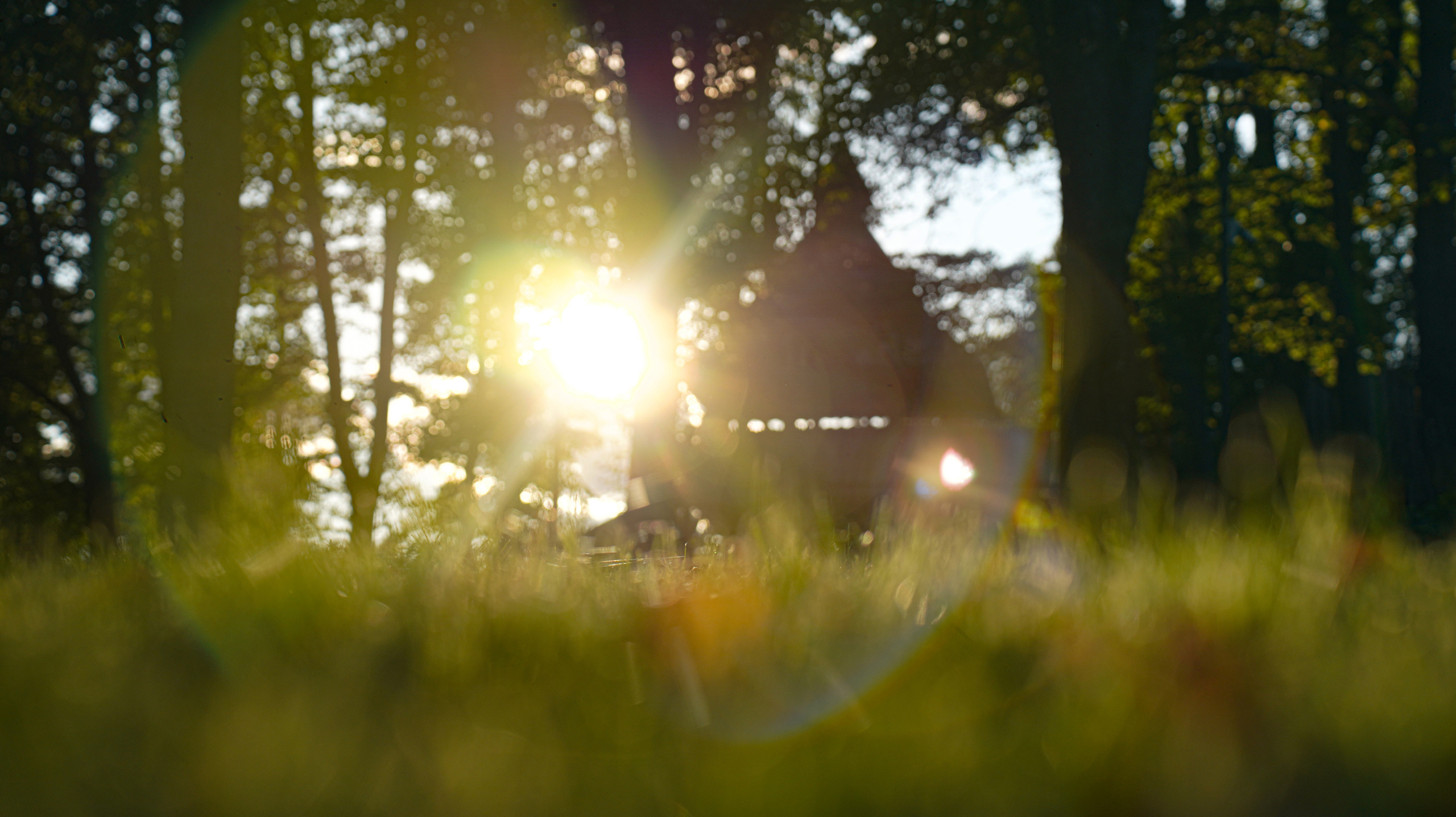 Уличная и репортажная фотография. Репортажный фотограф в Москве Светлана Мулыкина