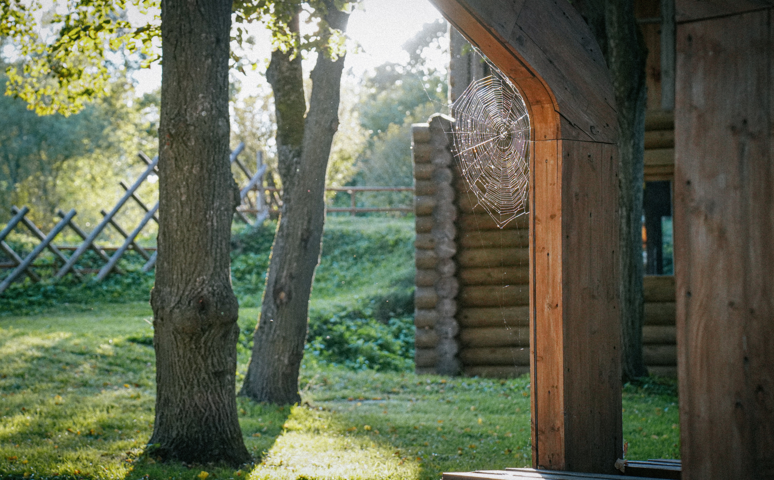 Уличная и репортажная фотография. Репортажный фотограф в Москве Светлана Мулыкина