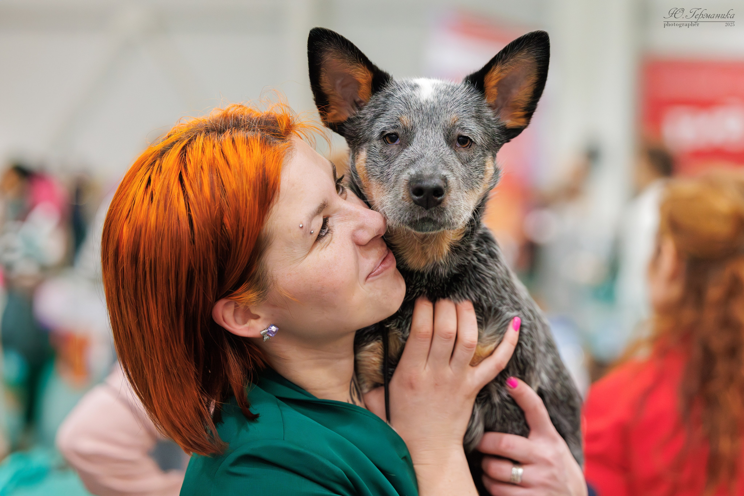 Гран-При 8.02.2025 и Крокус 09.02.2025. Фотограф-анималист Юлия Германика