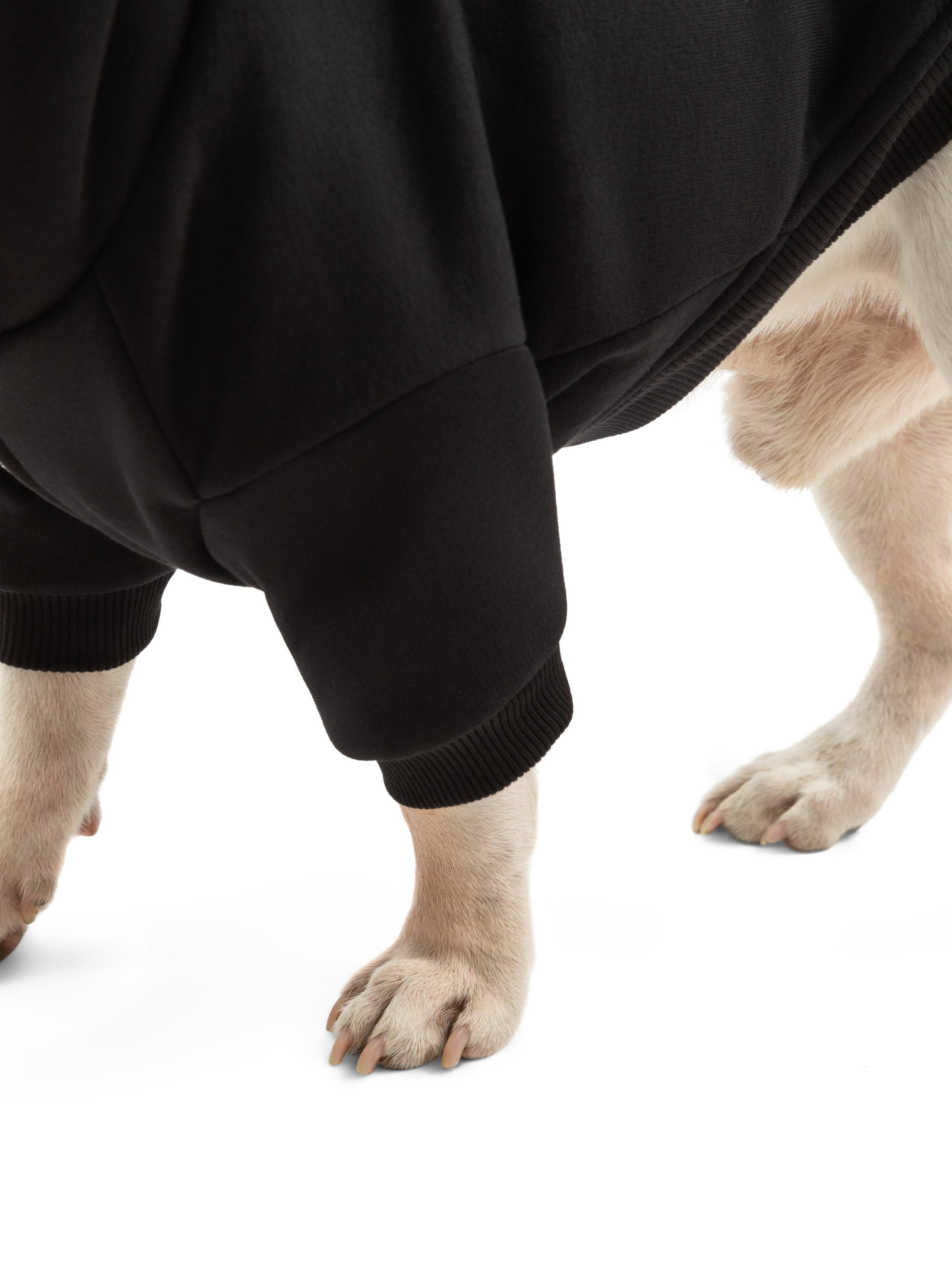 Одежда для собак Pet Subject. Олег Дмитриев