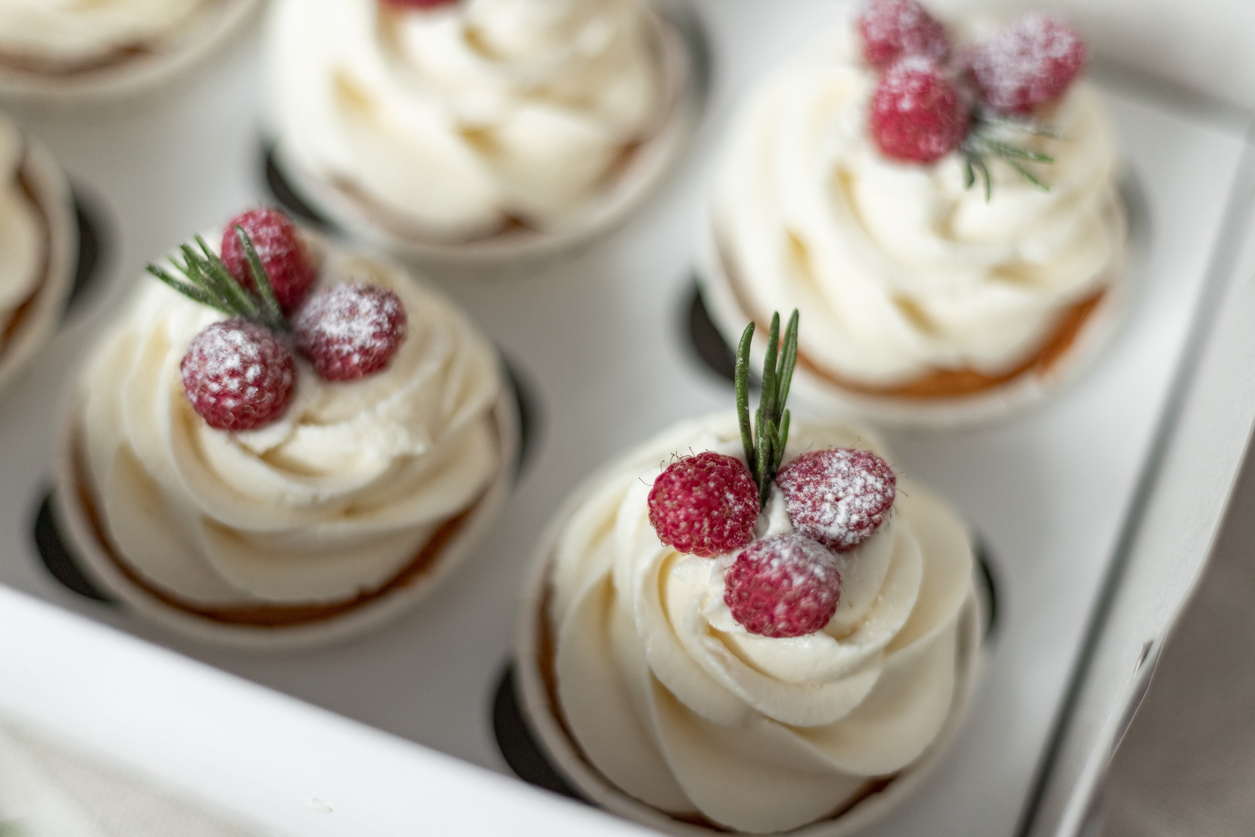 фотосессияпермькондратовомедевый