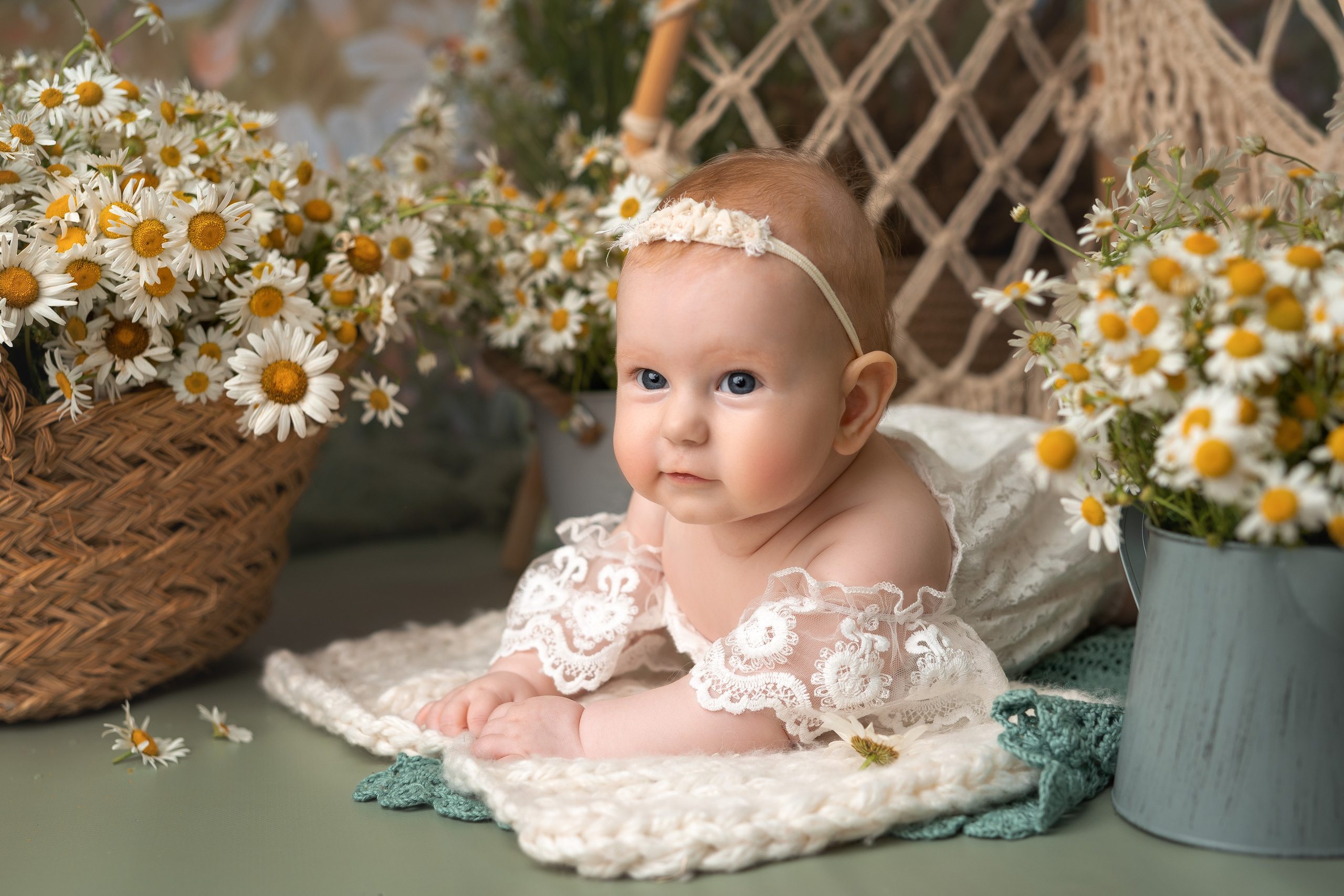 РОМАШКИ 2023. Фотограф новорожденных г. Рязань, детский и семейный фотограф