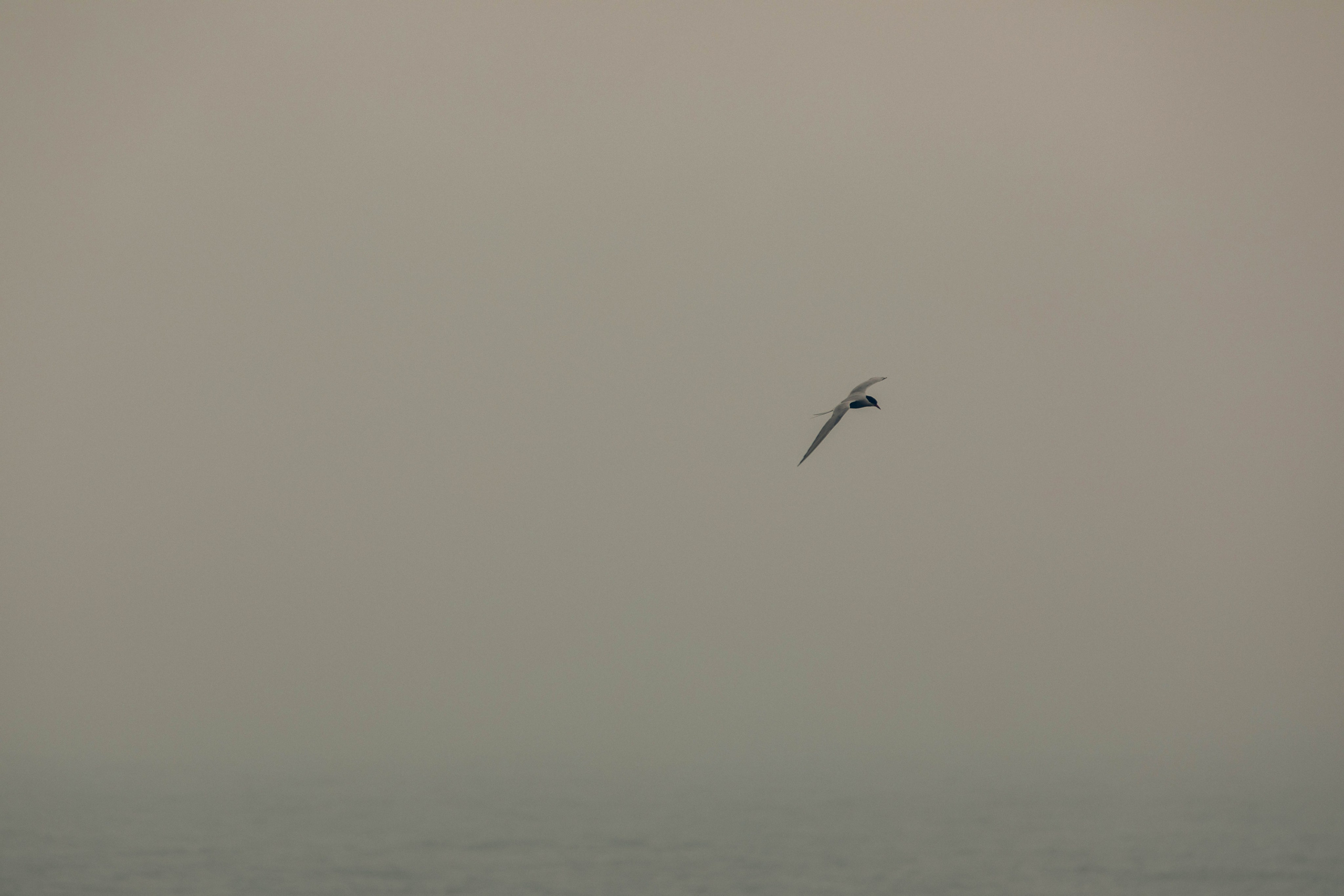 Кольский полуостров. Фотографирую для себя, своей семьи и друзей!