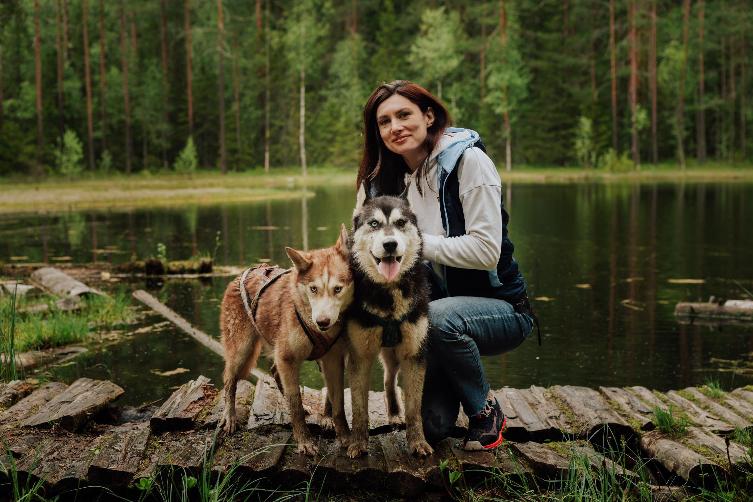 Догтрекинг. Фотограф в Санкт-Петербурге и Ленинградской области