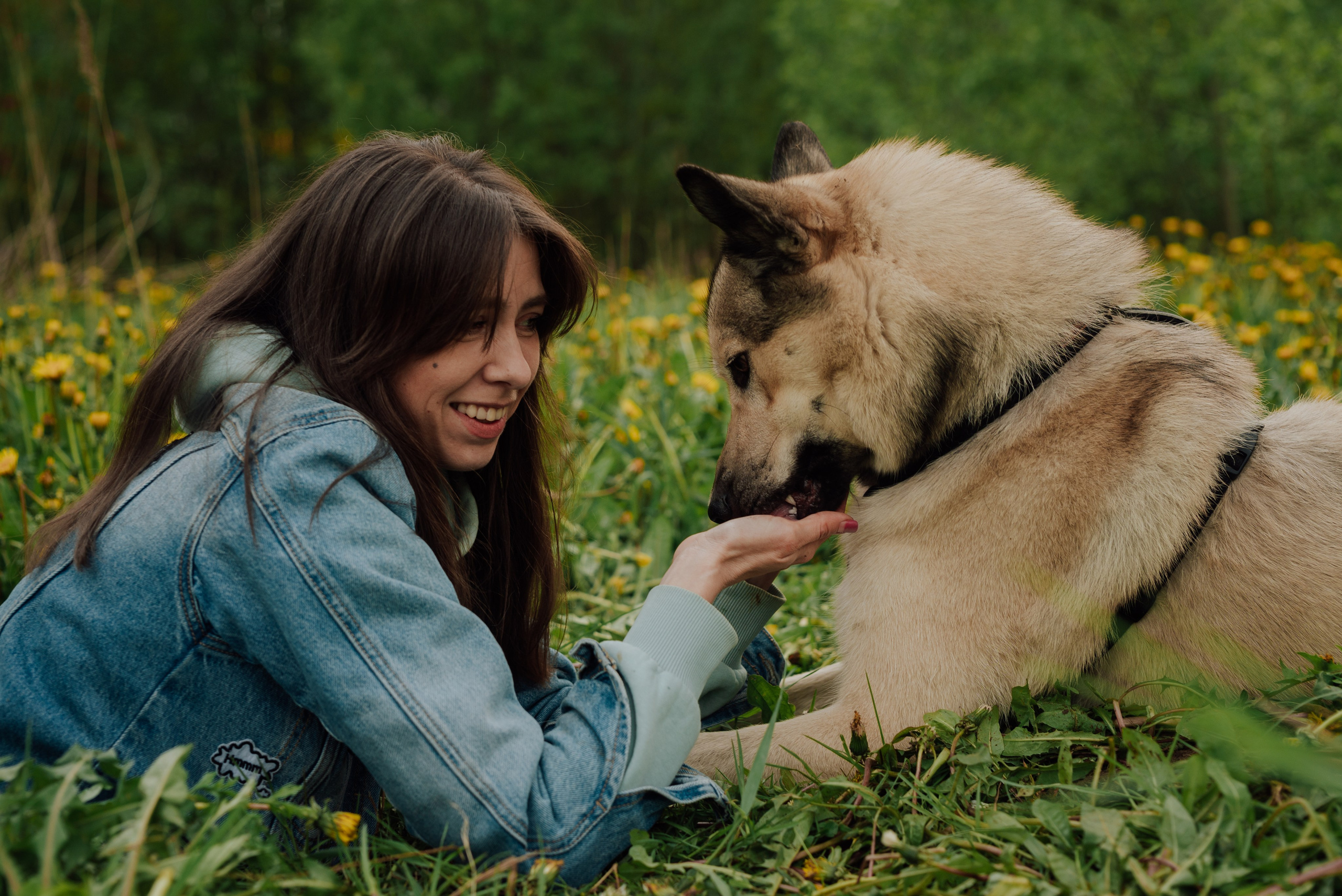 Фотовыходные с питомцами Мурино. Фотограф в Санкт-Петербурге и Ленинградской области
