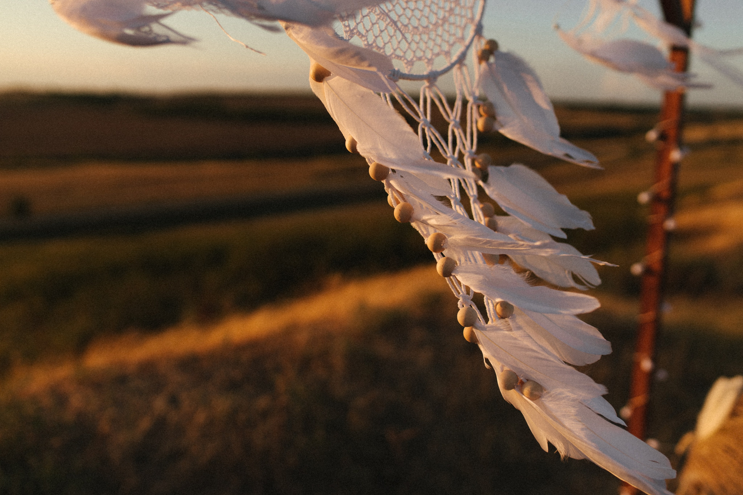 История одного заката. Свадебный и семейный фотограф в Самаре и Москве