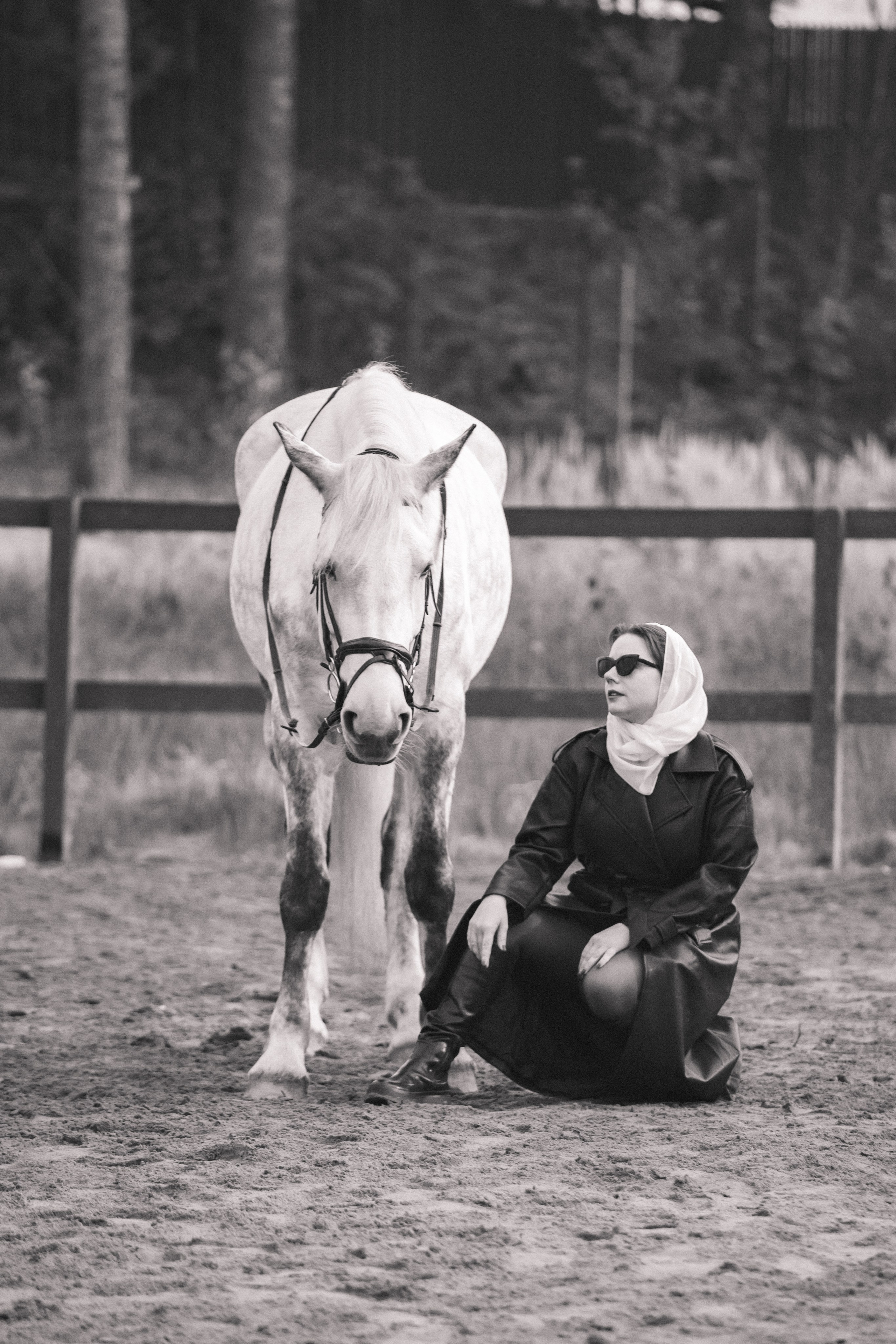 Проект DEFILE. Конный фотограф в Санкт-Петербурге Анна Лебедева