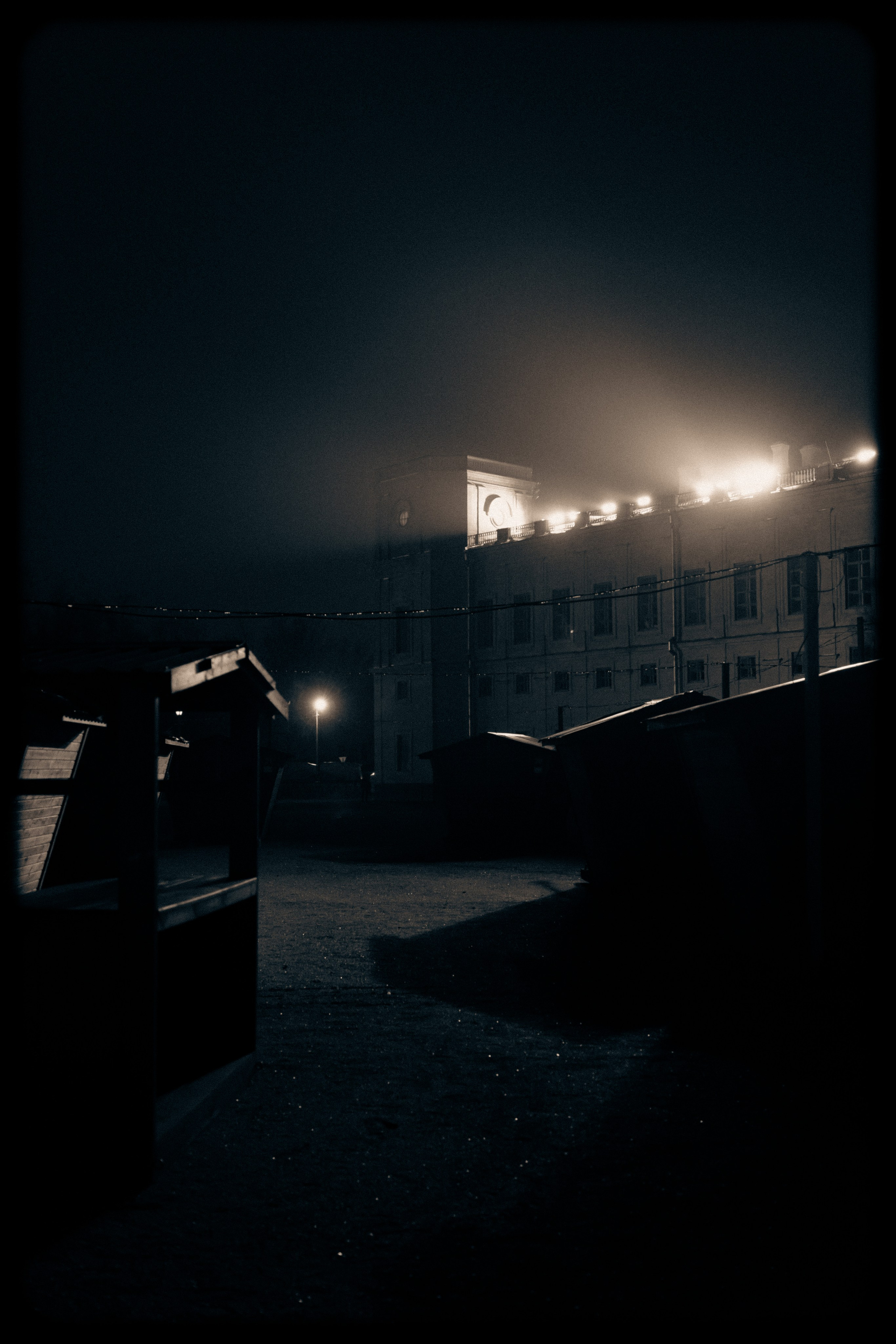 Из наблюдений. Плак или Квак