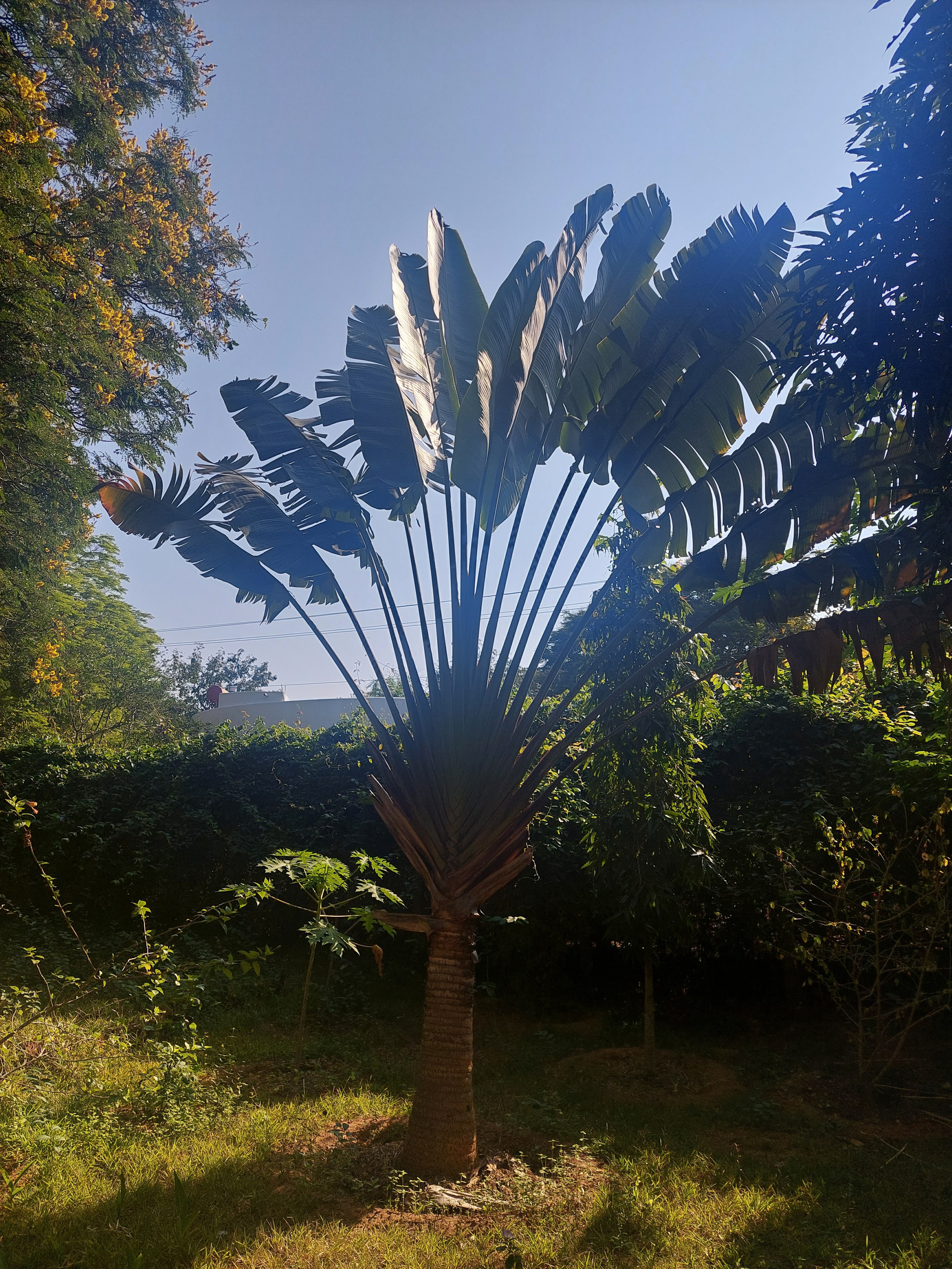 Дровяной обжиг в Индии — 2023. Керамика с историей. Елена Рогалёва