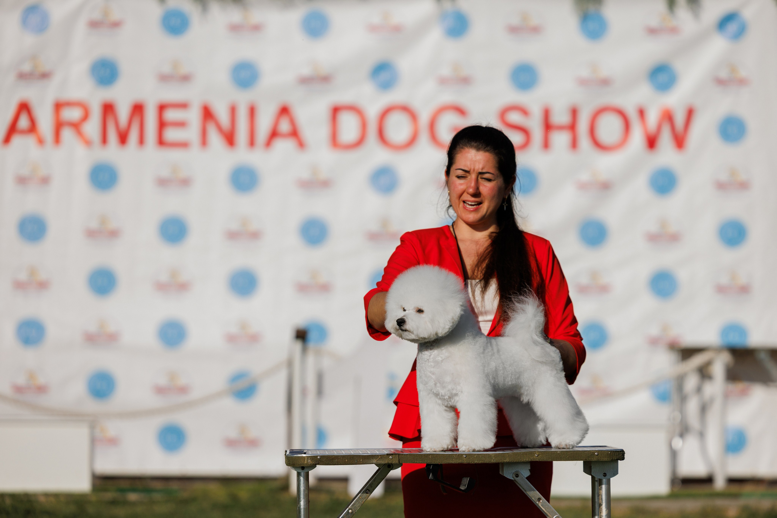 Ереван 14-16.10.2025. Фотограф-анималист Юлия Германика