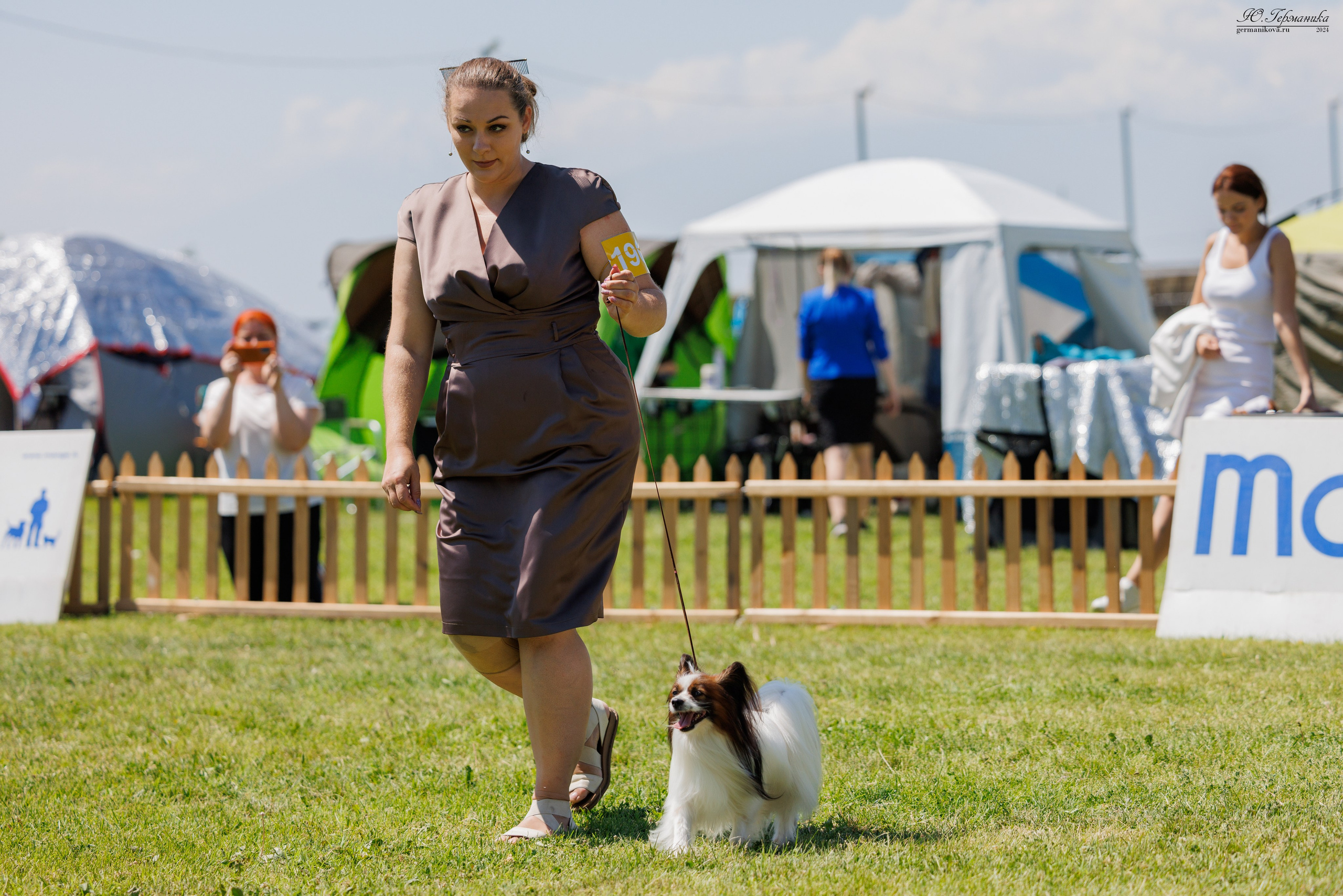 Ереван 3-5.06.2024. Фотограф-анималист Юлия Германика