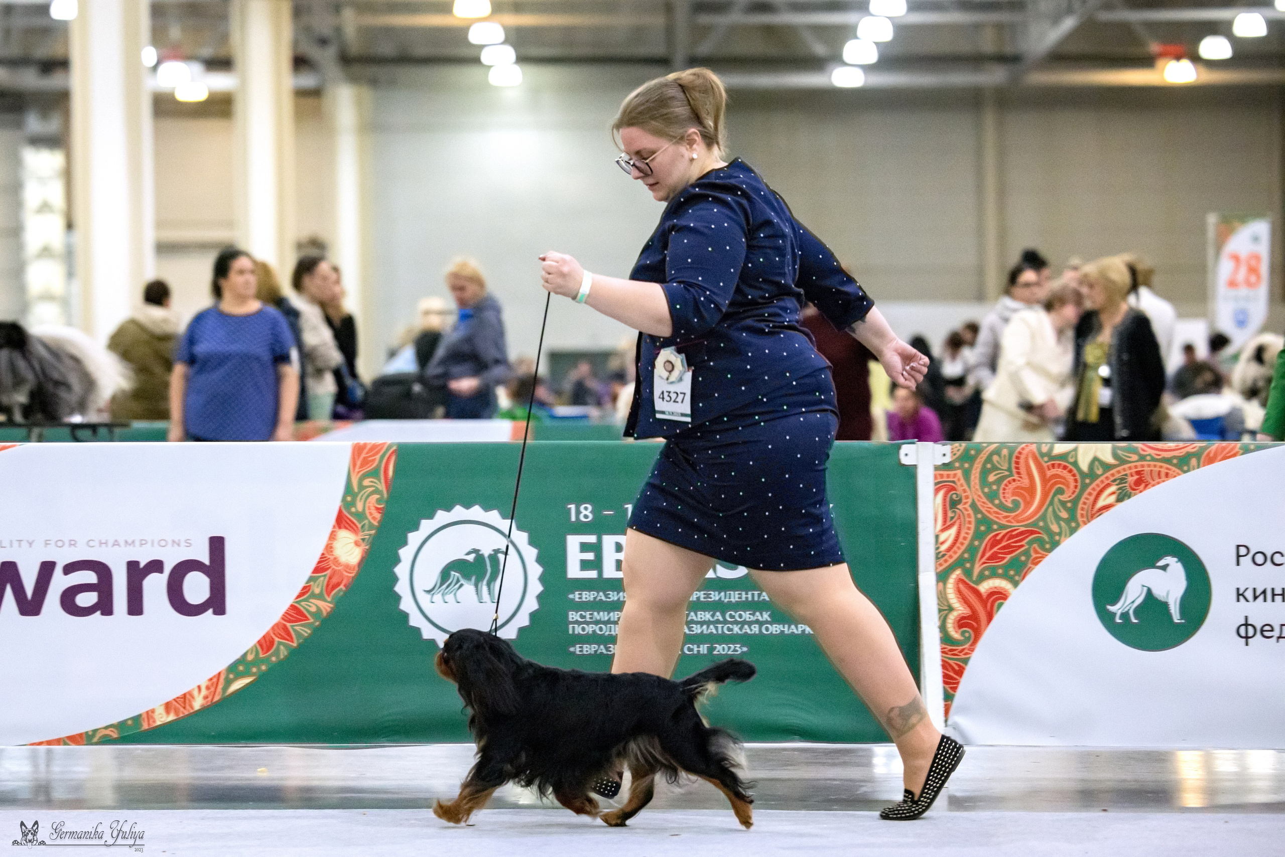 ЕВРАЗИЯ 18-19.11.2023. Фотограф-анималист Юлия Германика