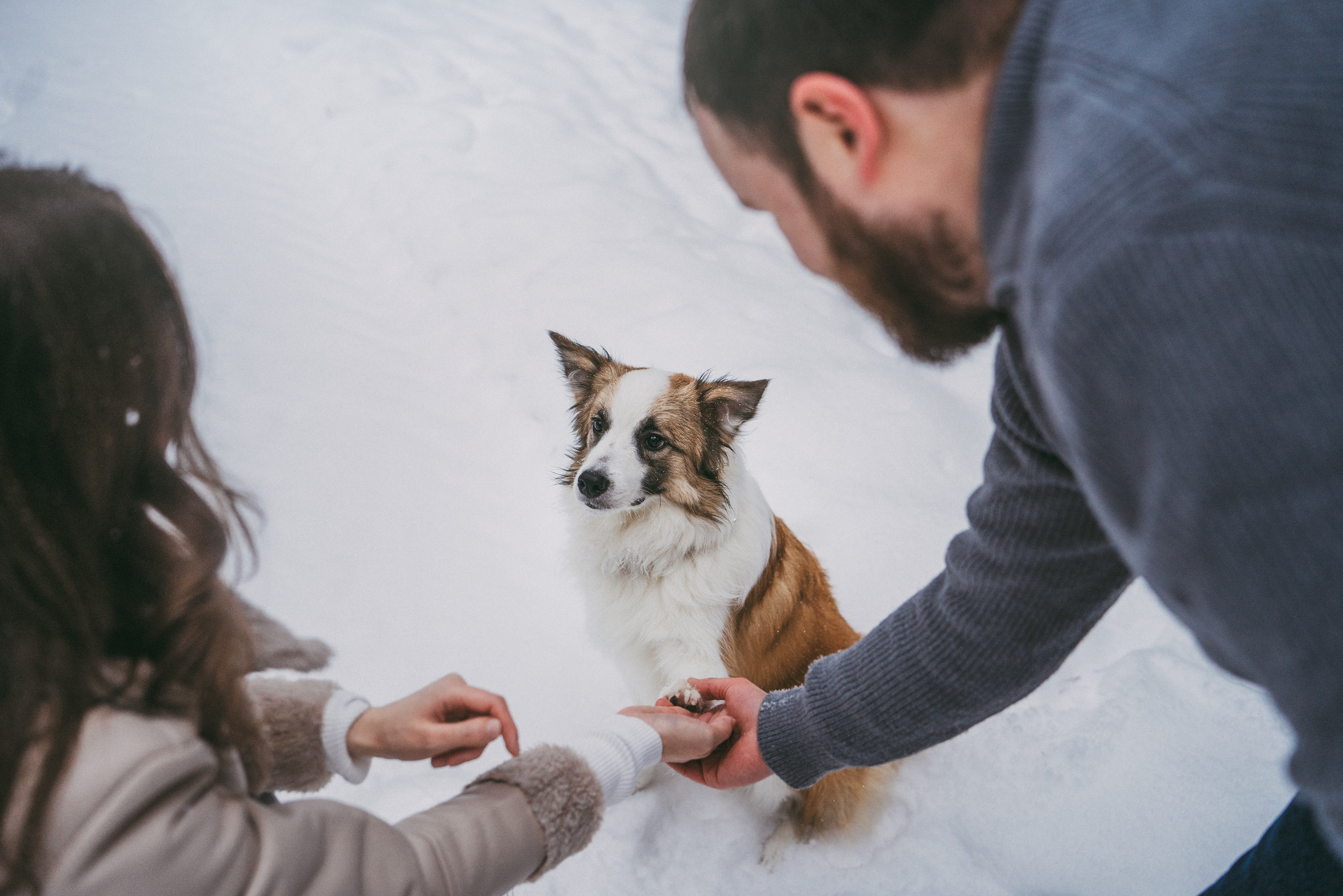 Катя, Анатолий и Елай. Фотограф анималист в Москве и Санкт-Петербурге Свиридова Анна