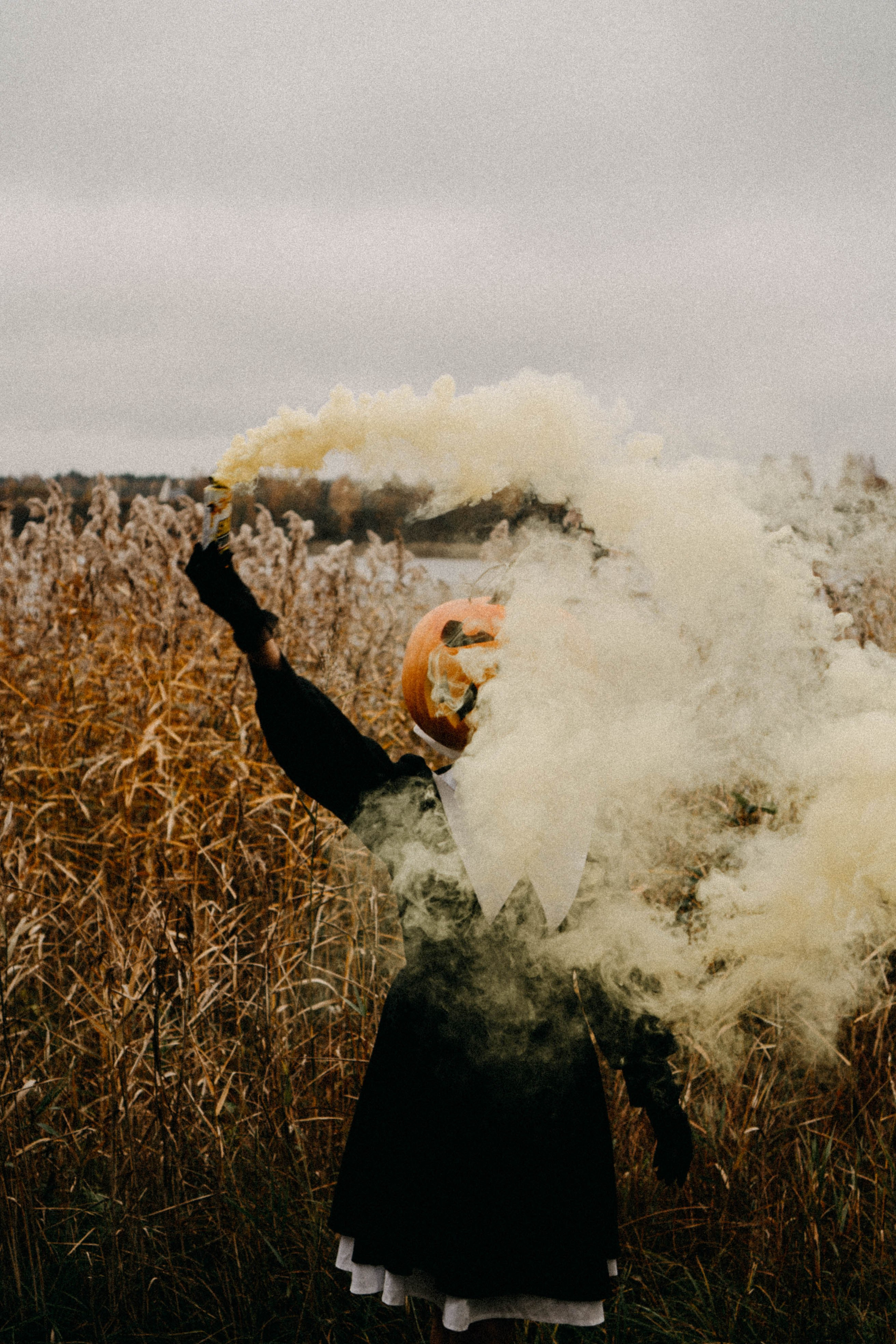 Осеняя. Профессиональный фотограф, Санкт-Петербург — Виктория Богомолова
