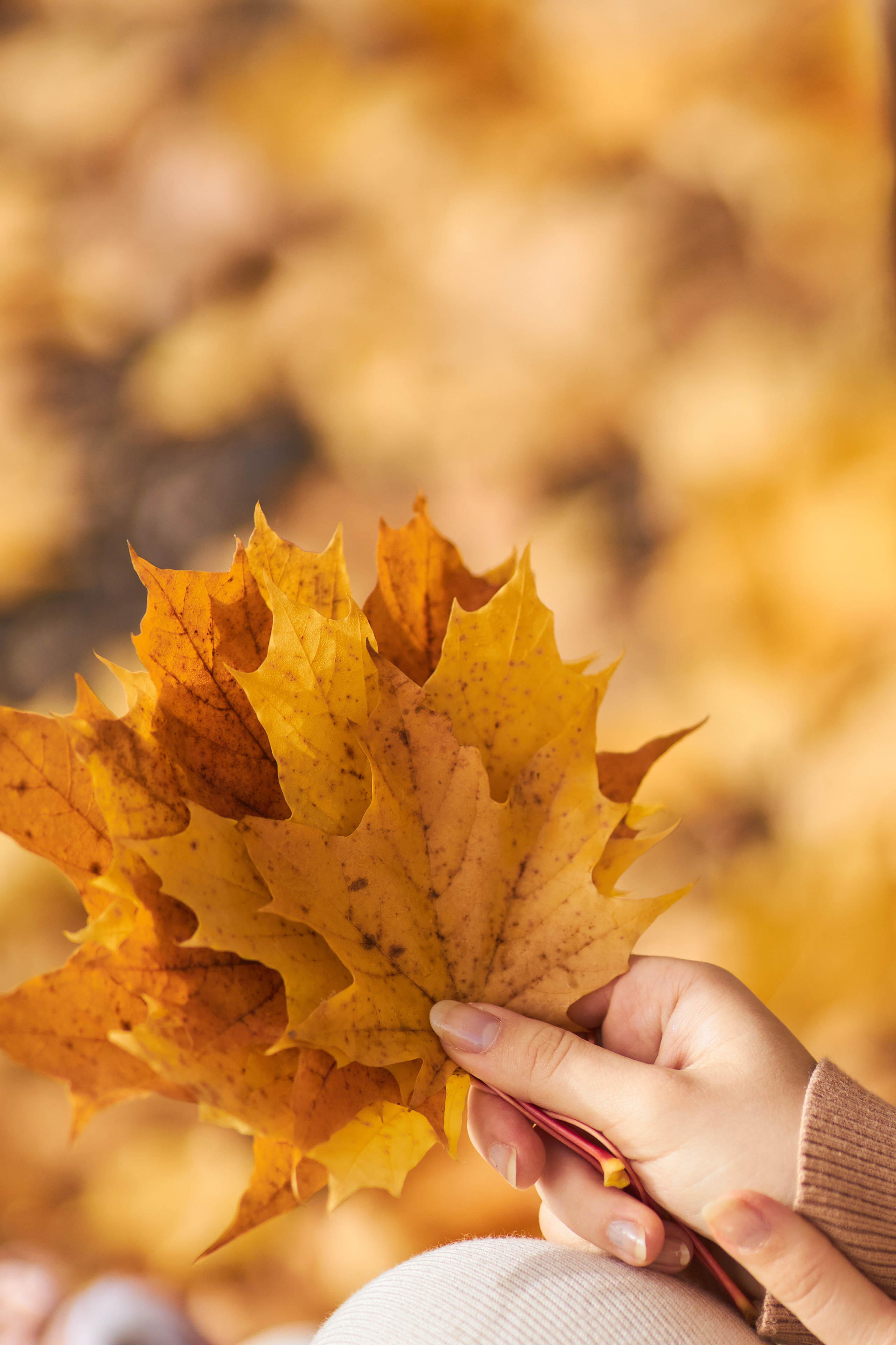 Индивидуальные уличные серии