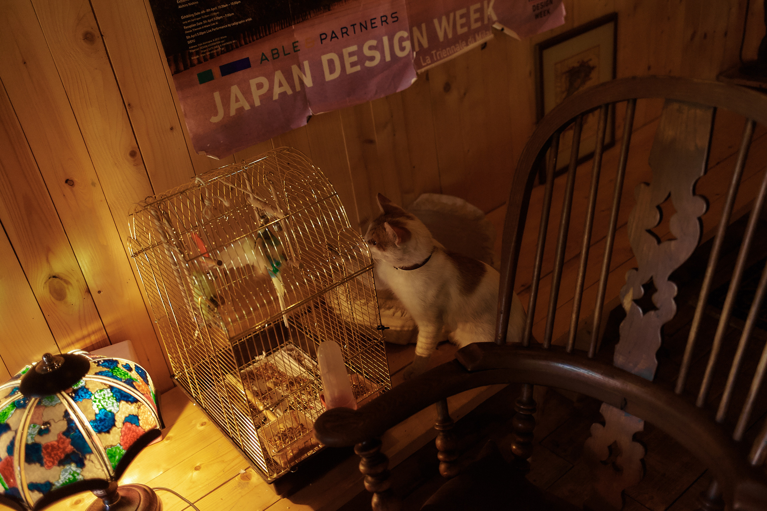 Индивидуальные уличные серии