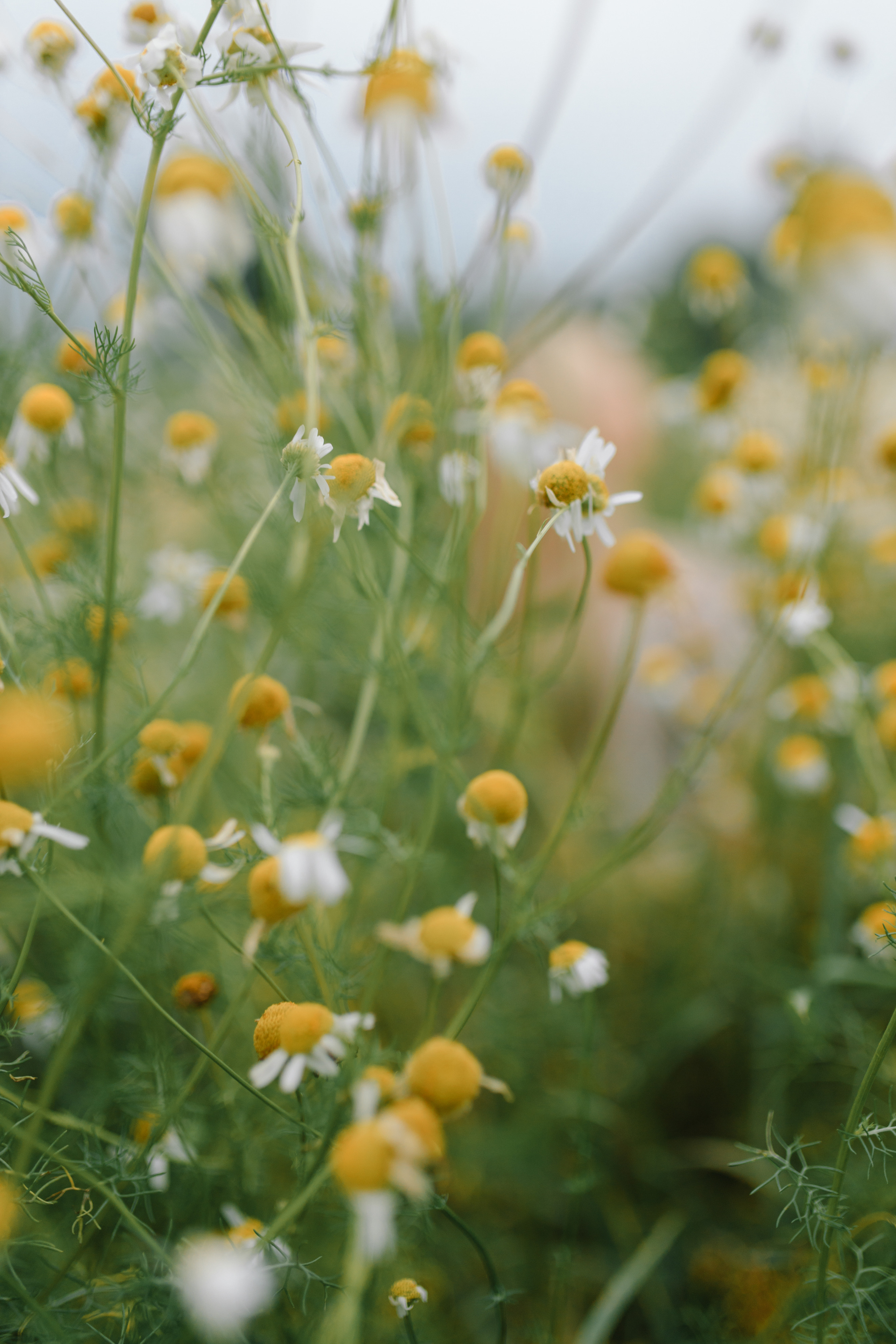 Индивидуальные уличные серии