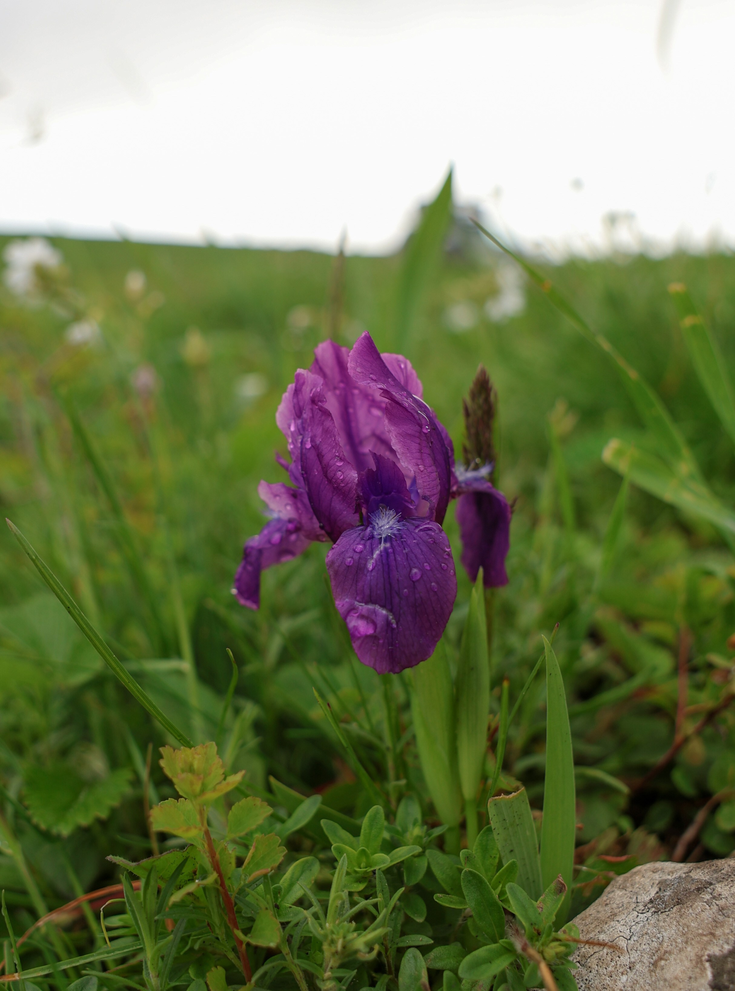 Фотограф Мария Алексеева. Мария Алексеева. Фотограф в Москве