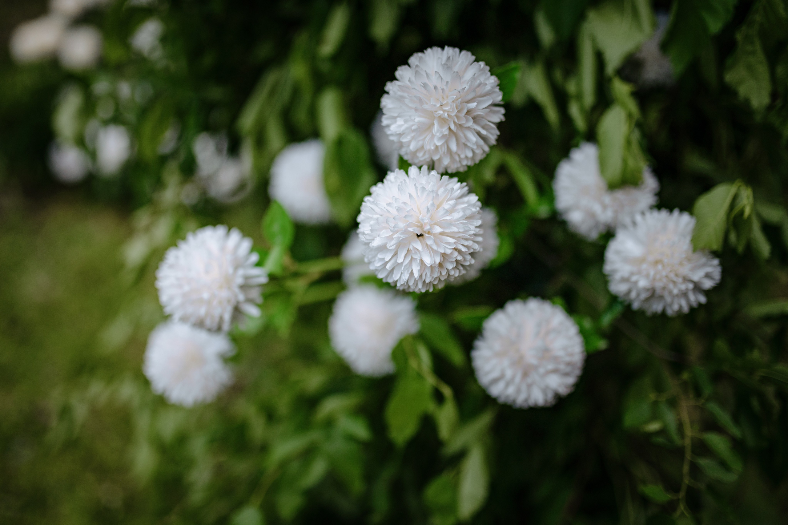 Съёмка свадебного декора. 100-й пруд. Свадебный фотограф Константинова Елена