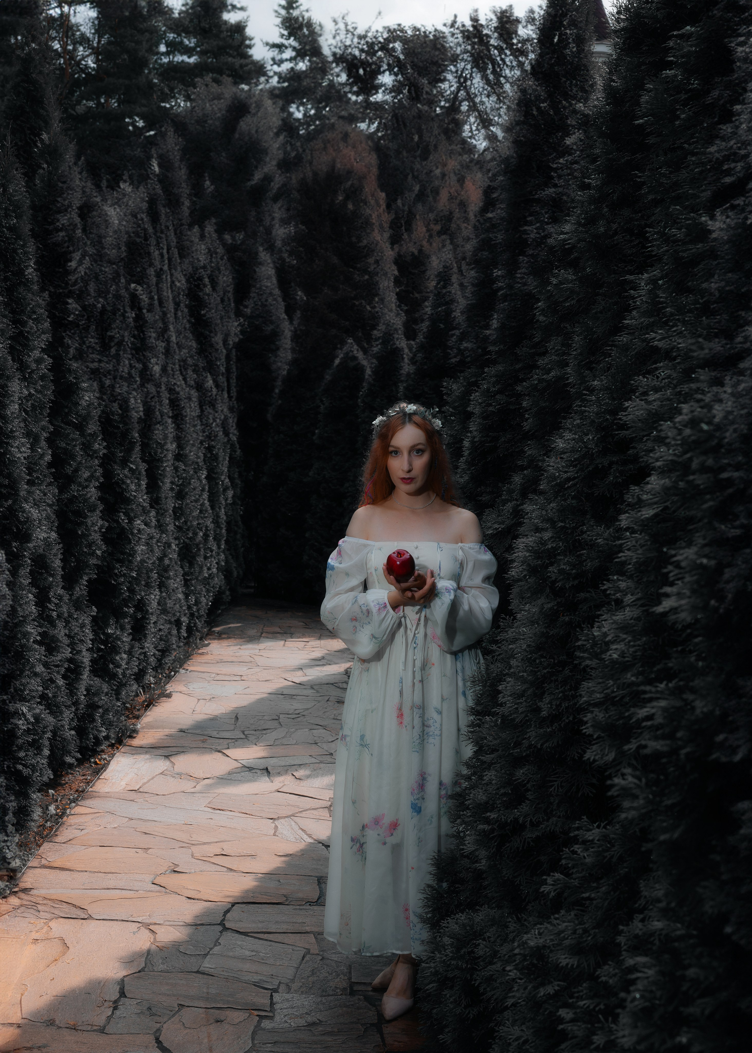 ELENA. Shamirov Arkadiy