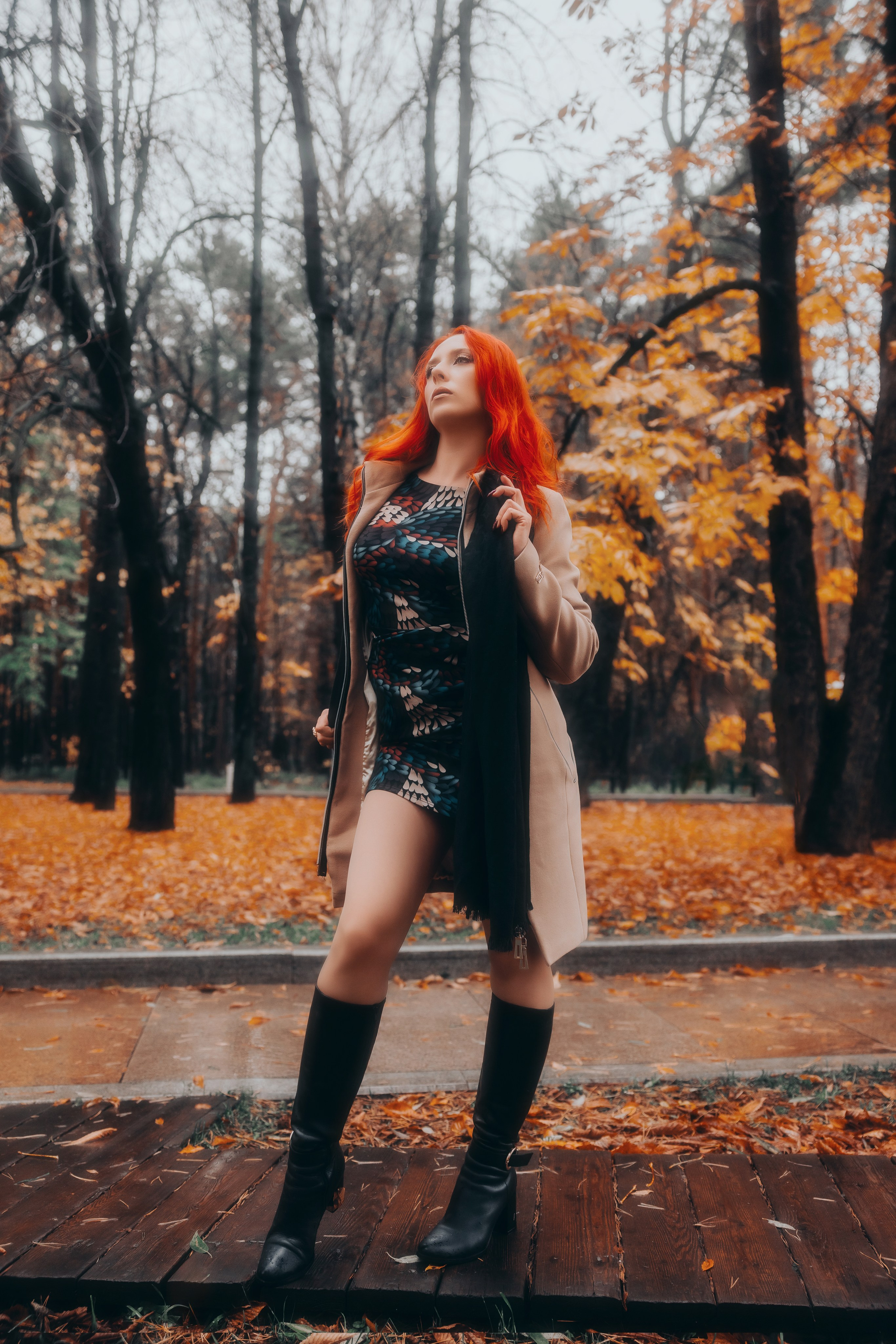 ALEXSANDRA. Shamirov Arkadiy