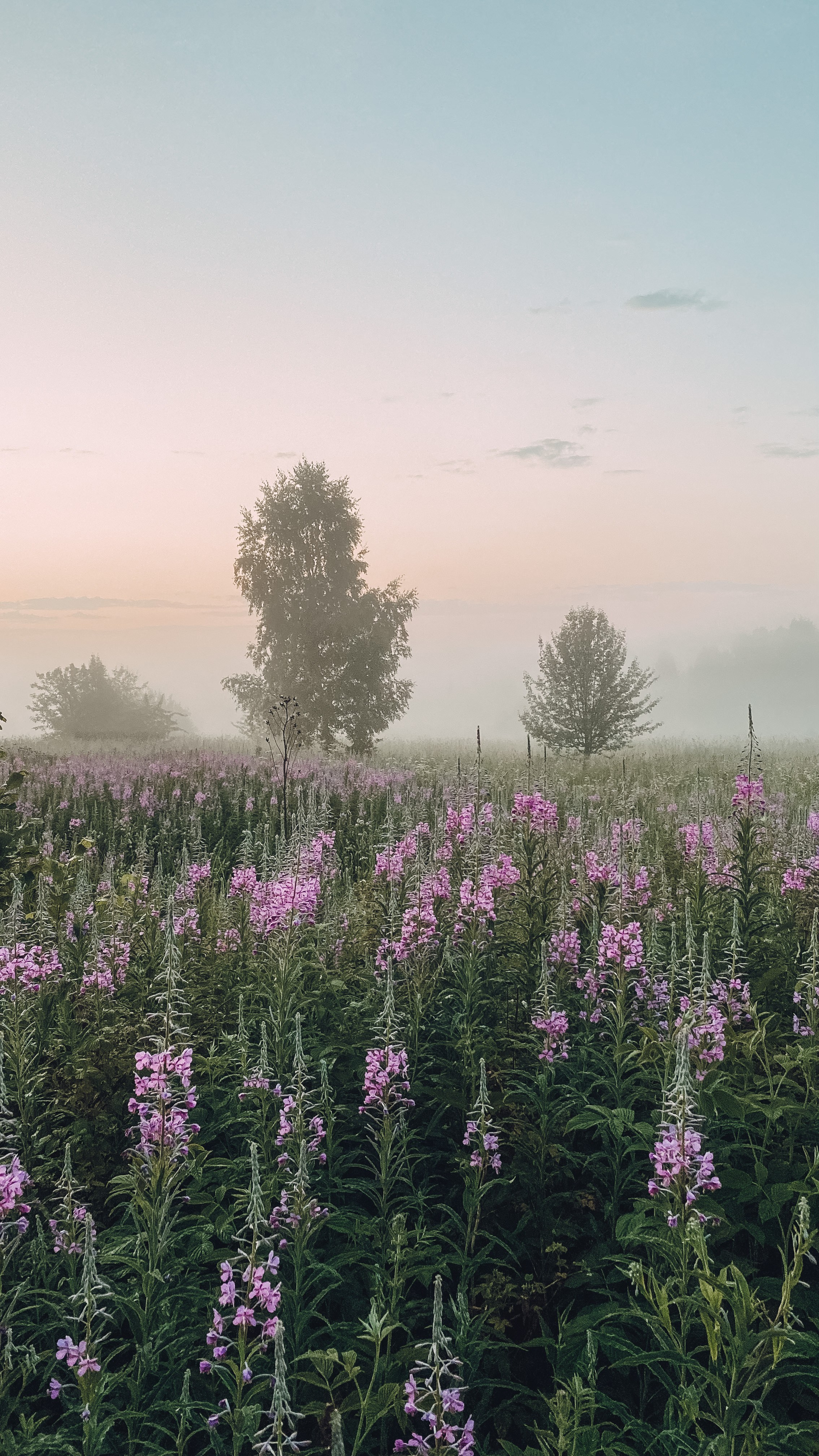 Природа. Фотограф Ольга Мурзина