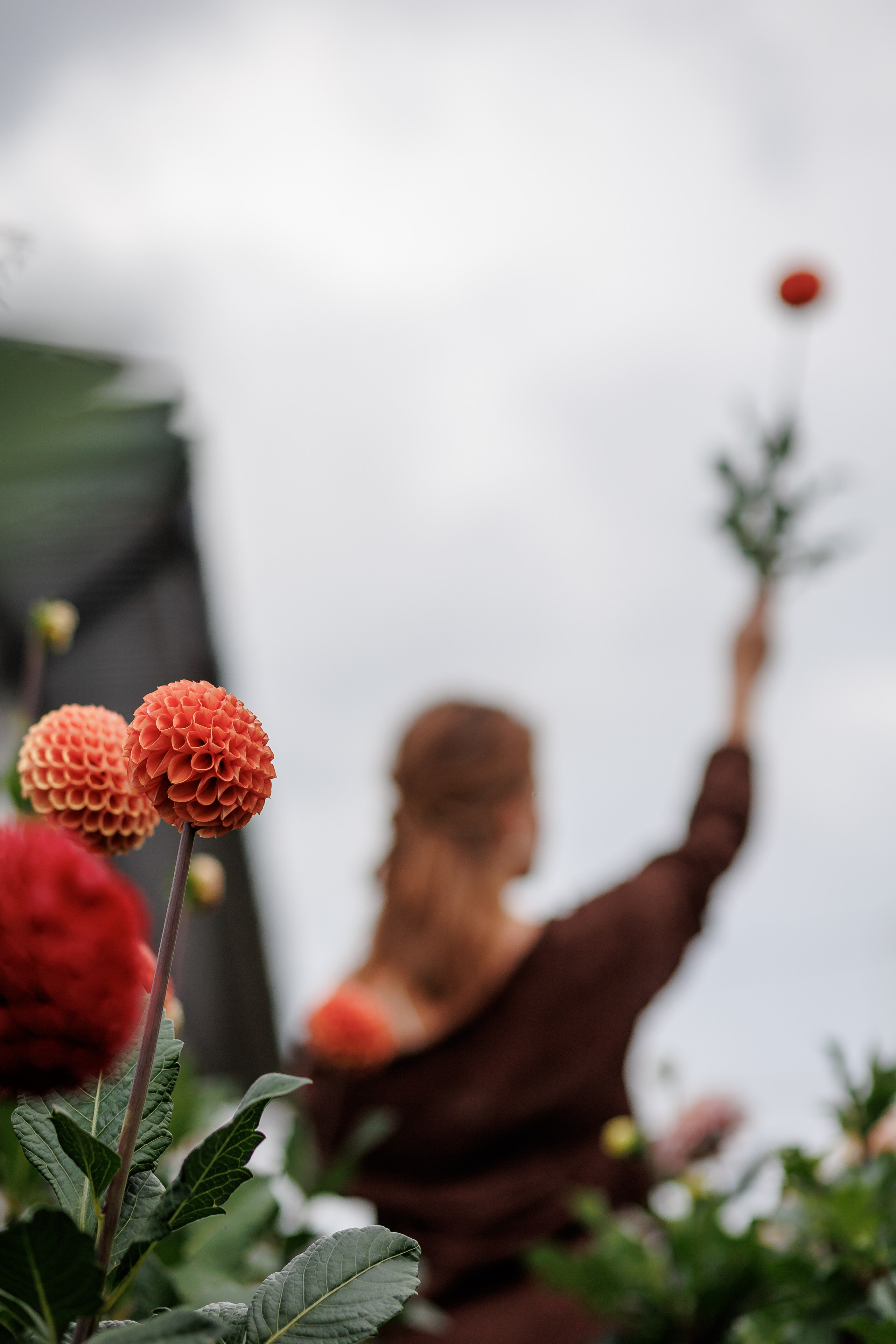 Наташа на ферме. Семейный фотограф в Саратове Юлия Охотникова