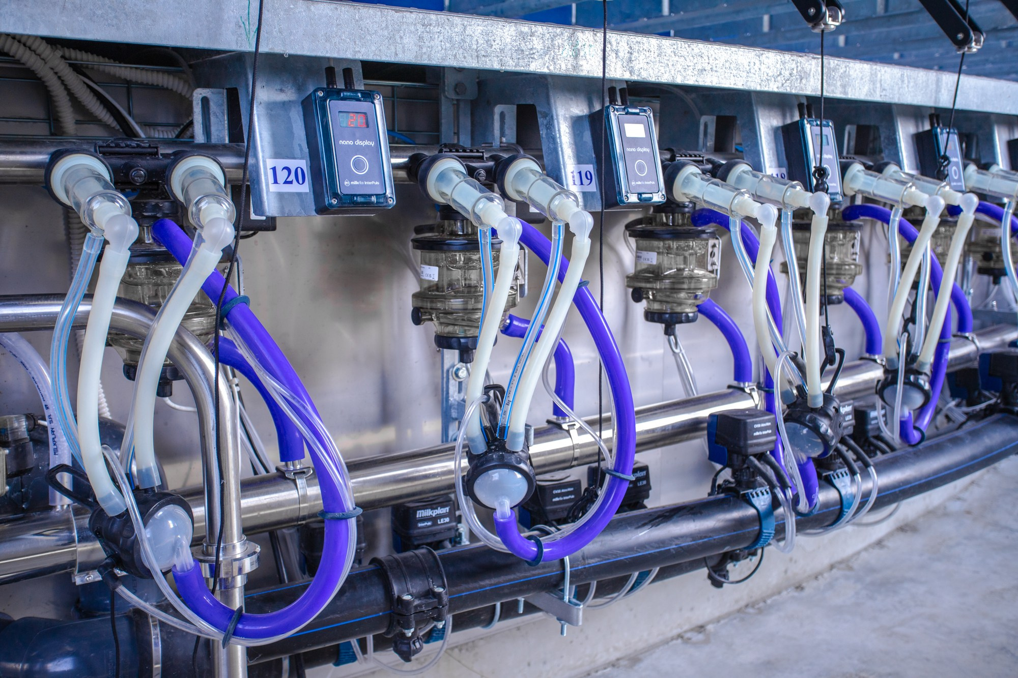 Открытие карусели для дойки скота. Репортажный, промышленный и маркетплейс-фотограф Дмитрий Чернат