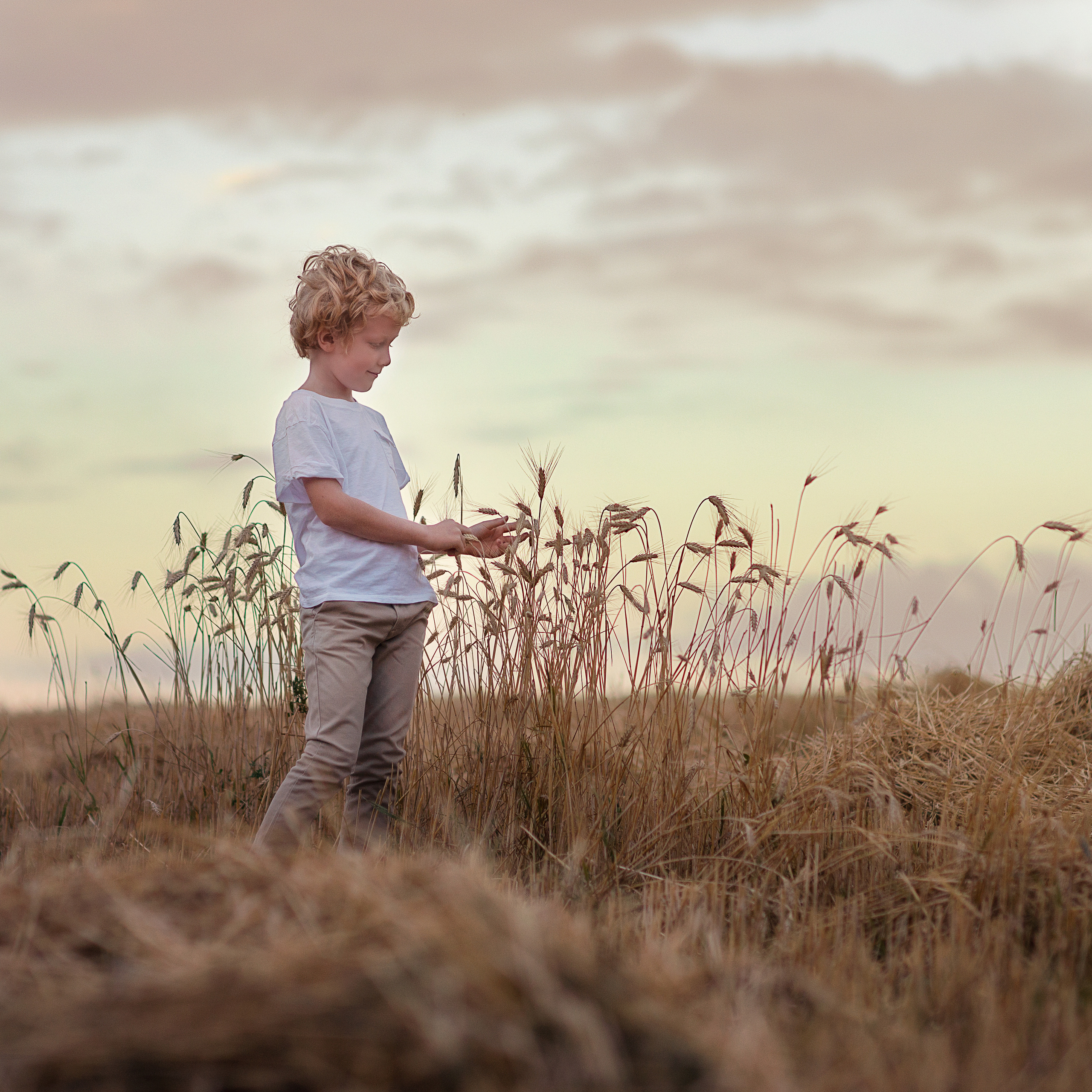 Марк и Даша в поле. Фотограф Альбина Вакунова