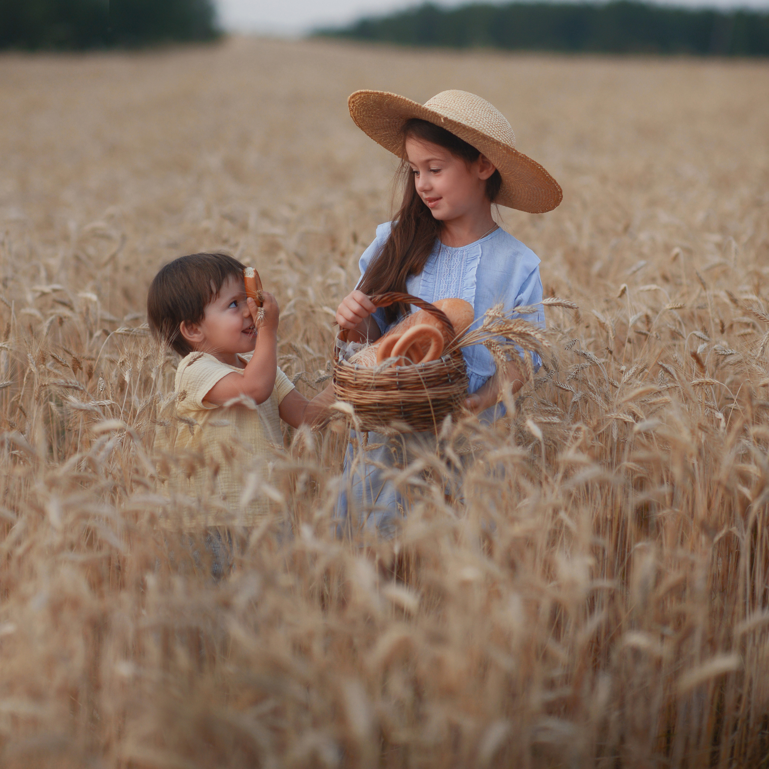 В поле ржи. Фотограф Альбина Вакунова