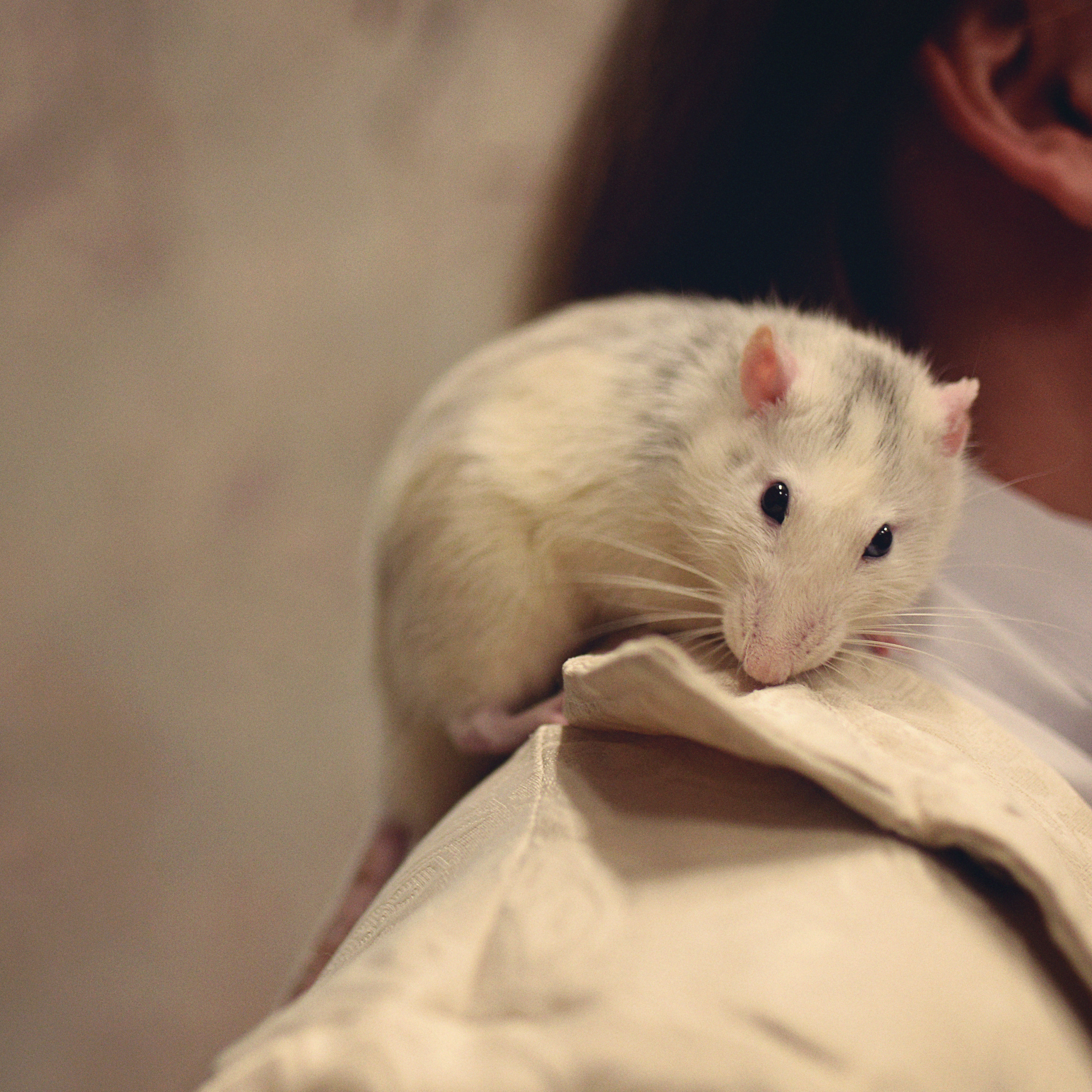 Золушка. Фотограф Альбина Вакунова