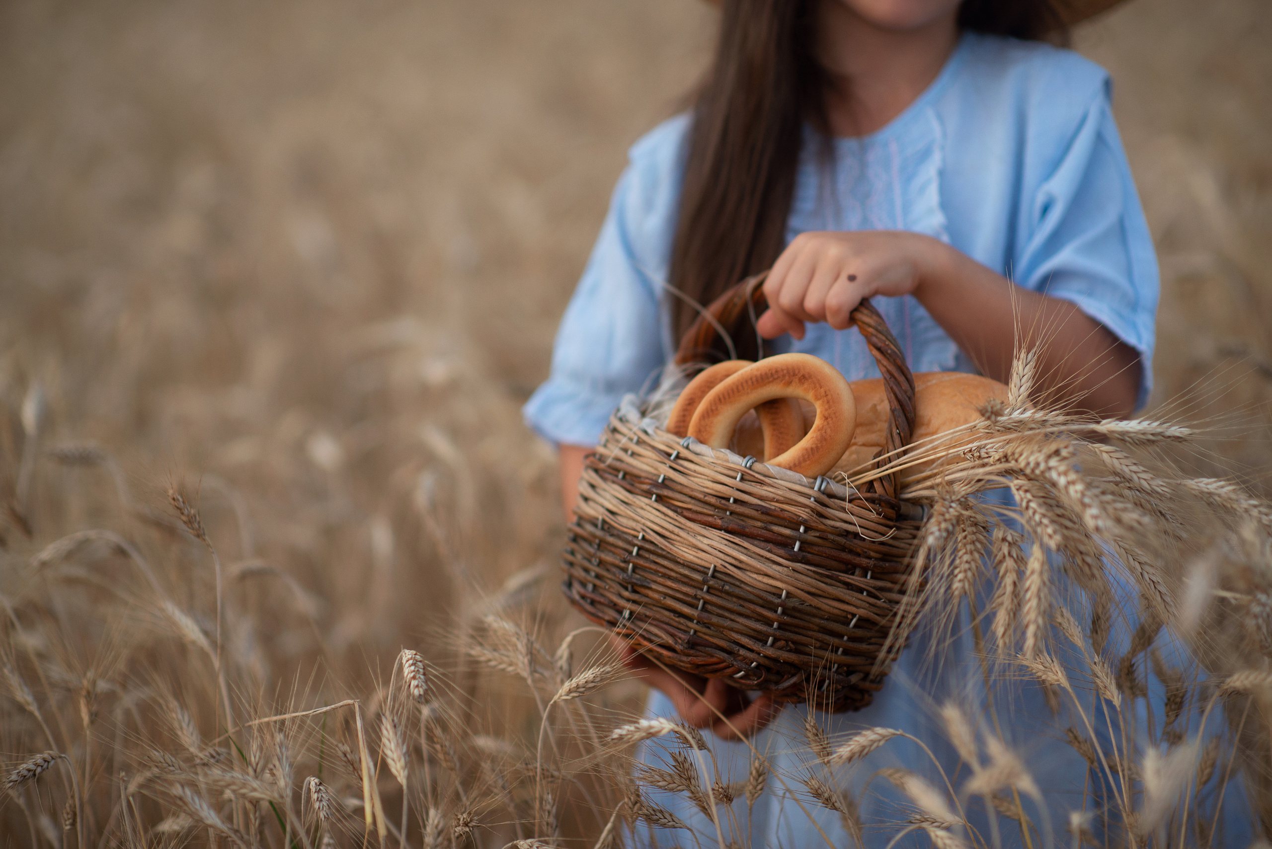В поле ржи. Фотограф Альбина Вакунова