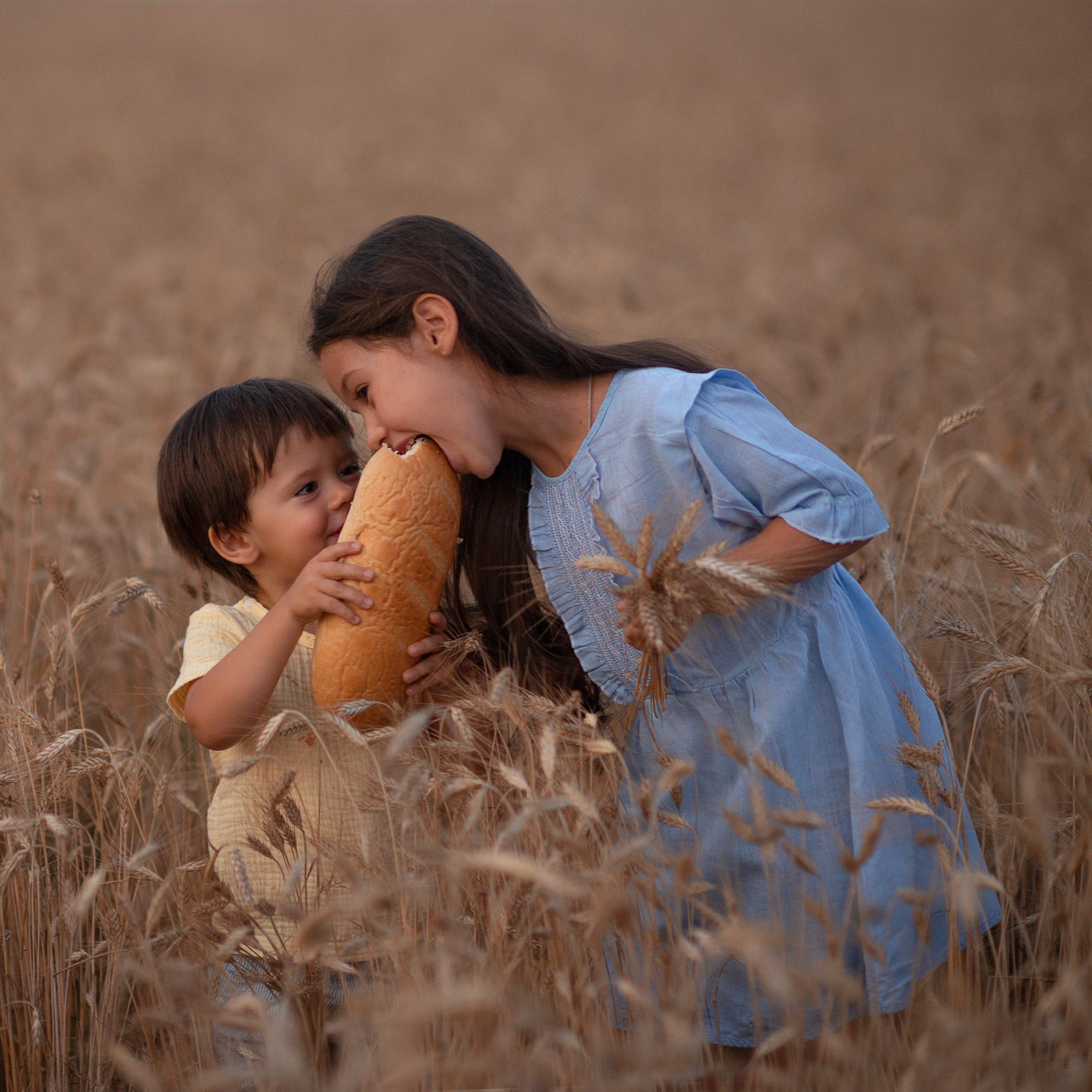 В поле ржи. Фотограф Альбина Вакунова