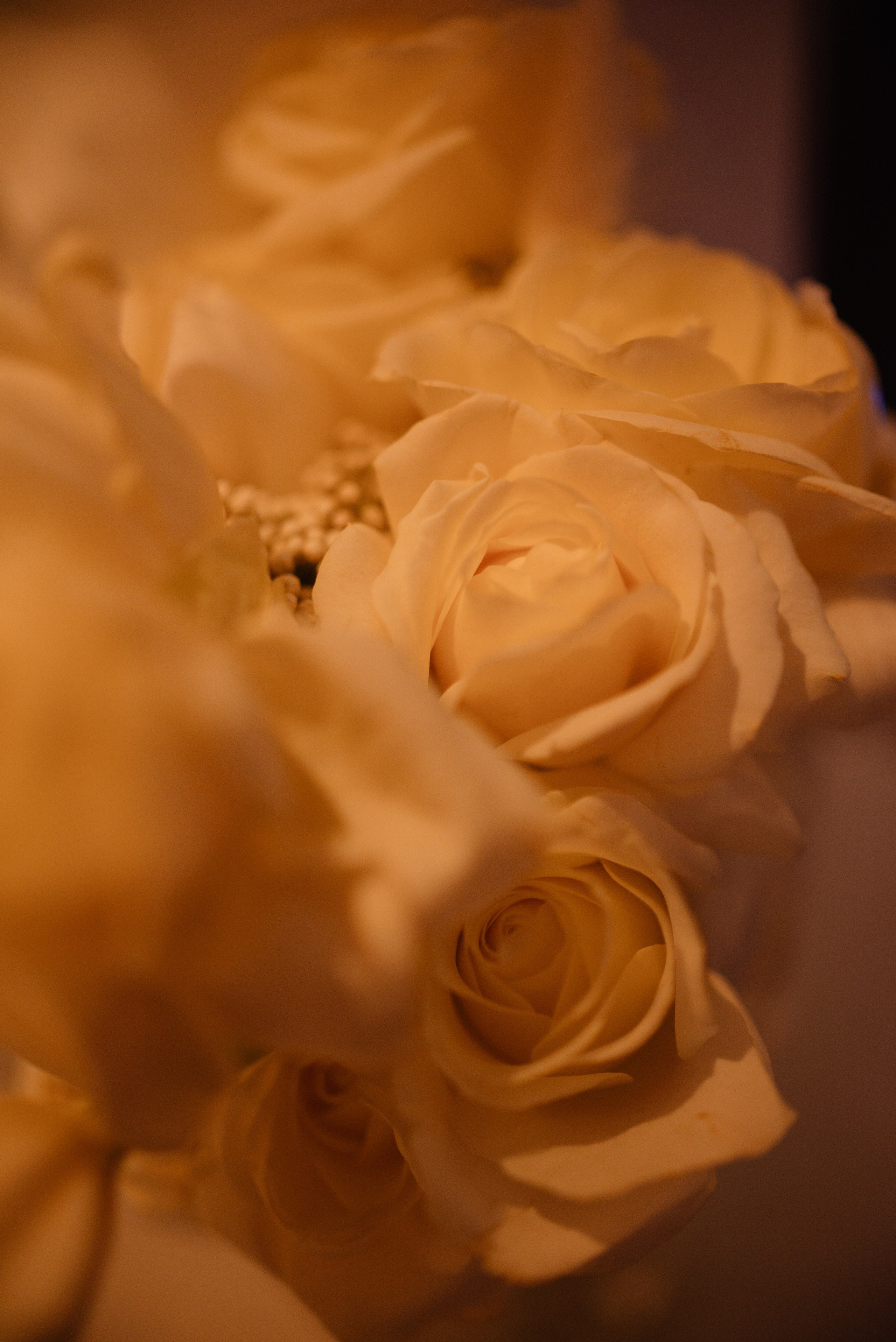 Что было после. Ваш свадебный и семейный фотограф