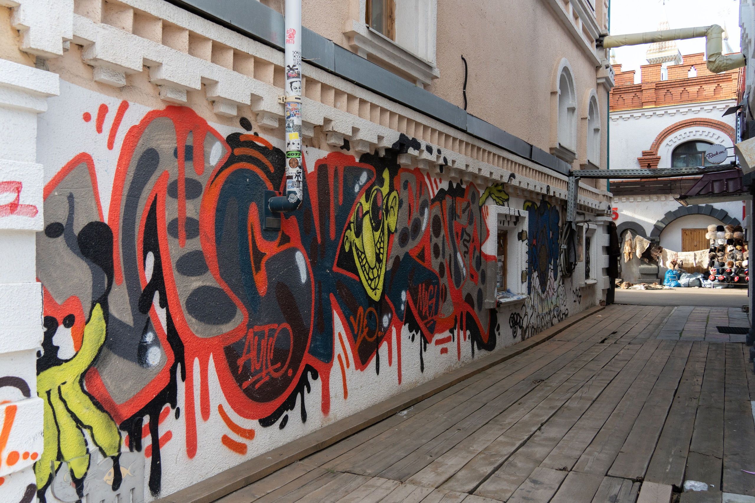 20250817 Измайлово. Дмитрий Ремизов. Фотография, как хобби