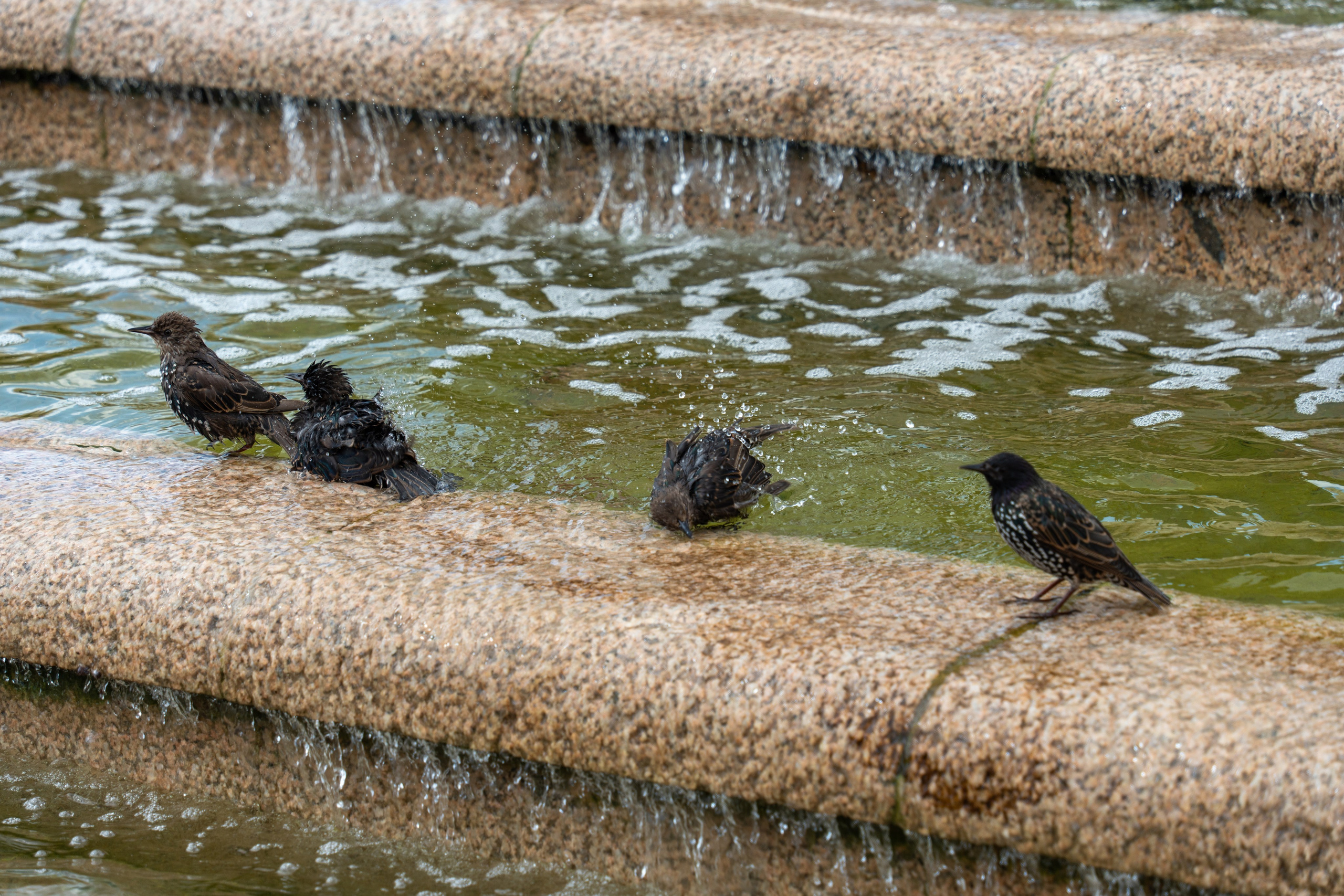 20250808 Прогулка с сыном. Дмитрий Ремизов. Фотография, как хобби