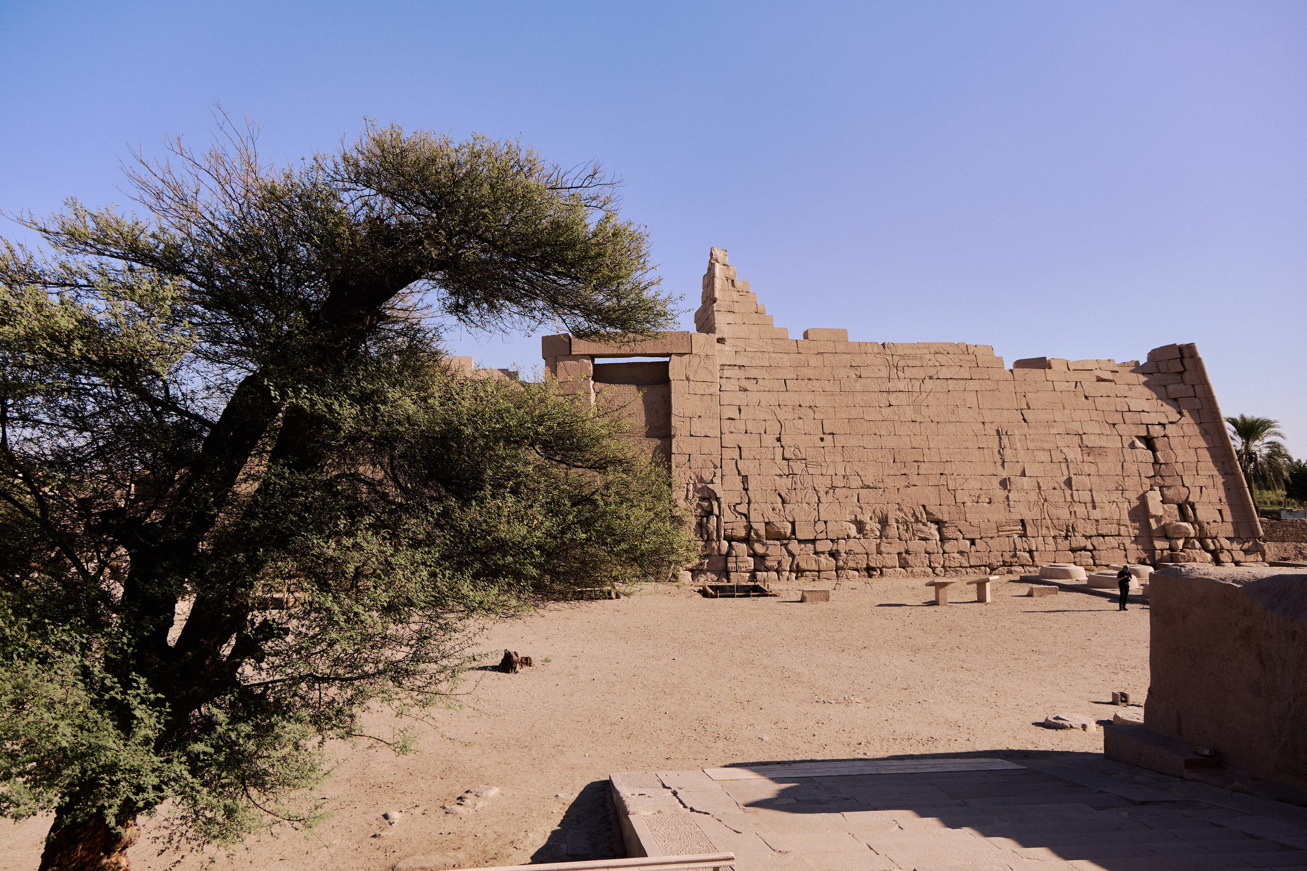 Другое 4. Jorgis — фотограф в Хургаде / обучение фотографии