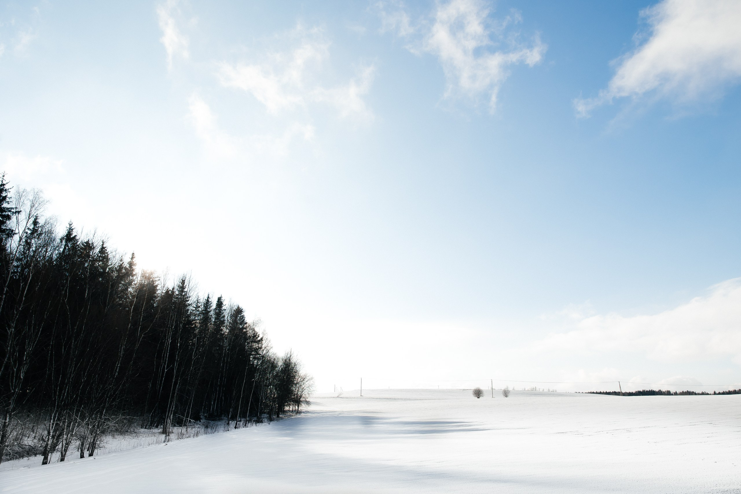 Свадебный фотограф. Свадебный фотограф — Крюков Константин