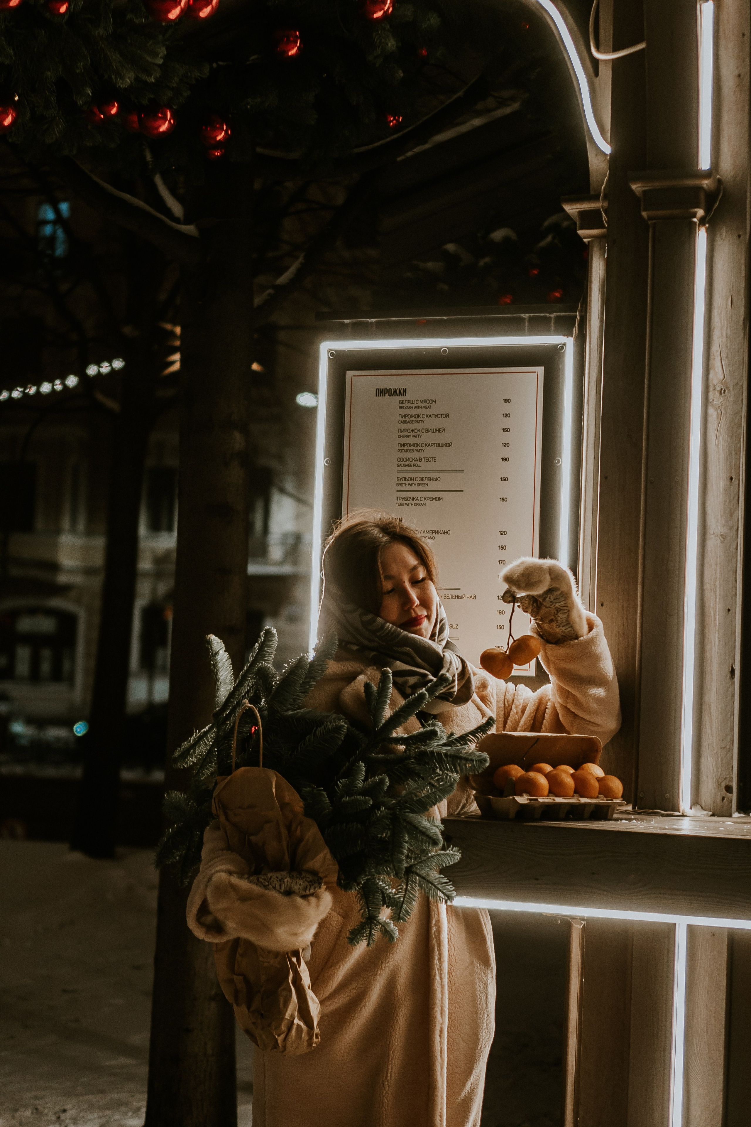 Зимняя сказка в Новой Голандии. Профессиональный фотограф, Санкт-Петербург — Виктория Богомолова