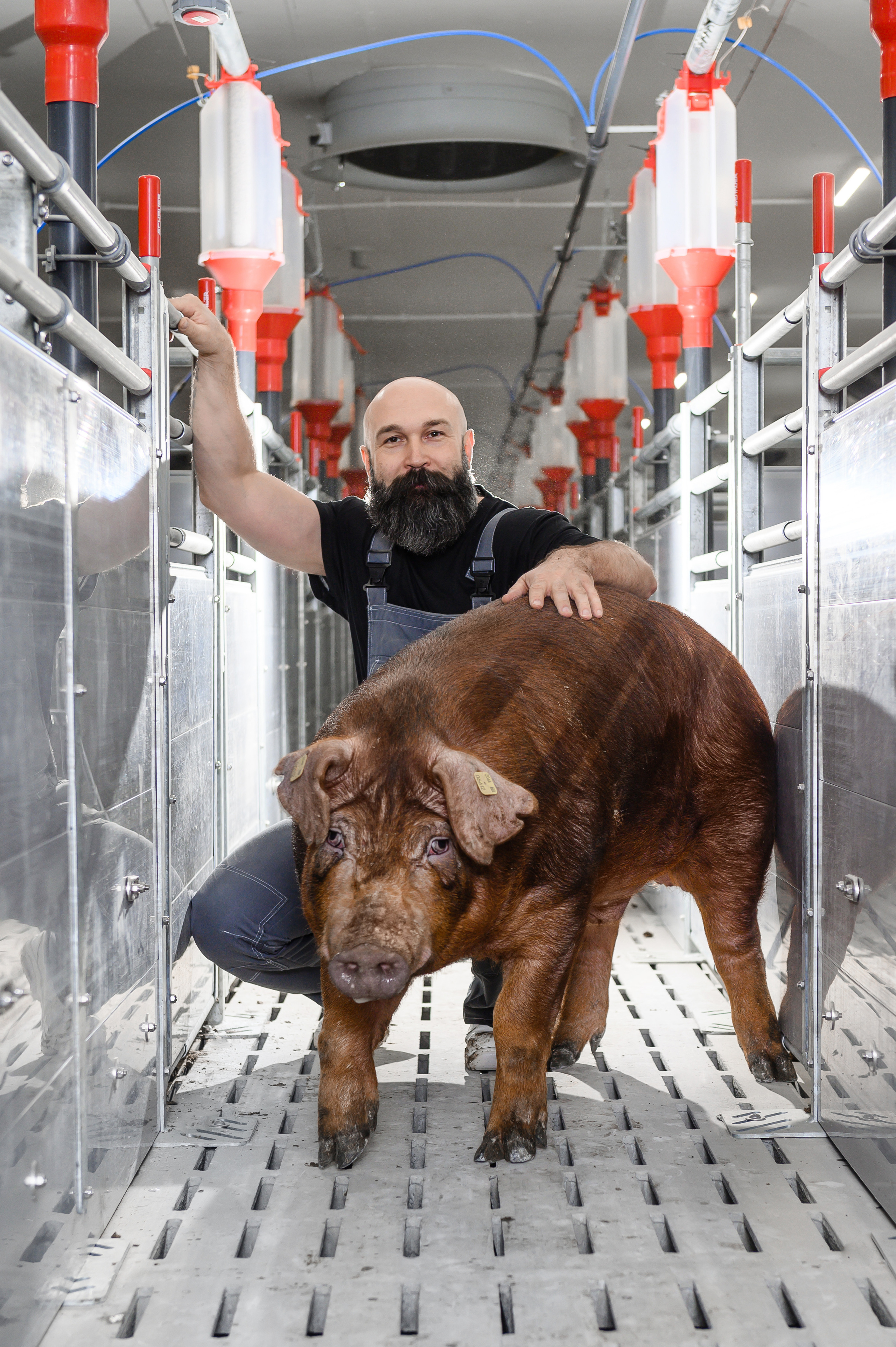 фотосъемка для агропредприятий, фотосъемка сельхозпродукции, фотосъемка для агробизнеса, фотосъемка для сельхозпроизводителей, агрофото, фотосъемка для сельхозкомпаний, фотосъемка сельхозтехники, фотосъемка урожая, агрофотосъемка