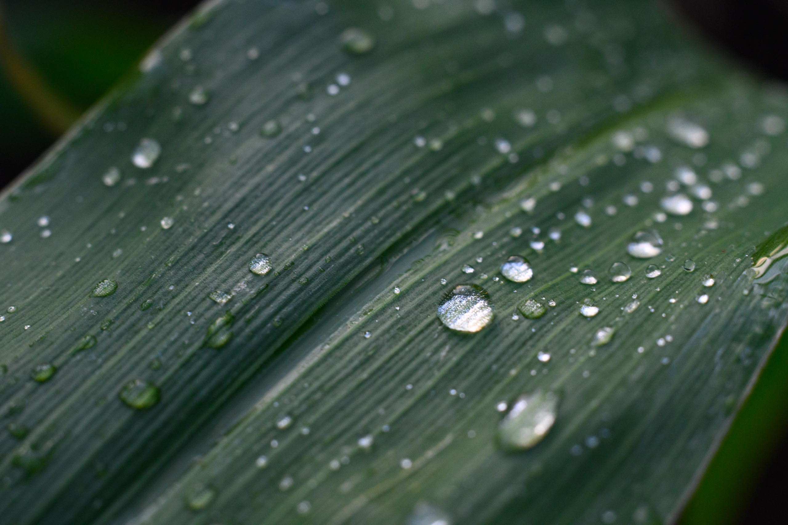 фотосъемка для агропредприятий, фотосъемка сельхозпродукции, фотосъемка для агробизнеса, фотосъемка для сельхозпроизводителей, агрофото, фотосъемка для сельхозкомпаний, фотосъемка сельхозтехники, фотосъемка урожая, агрофотосъемка