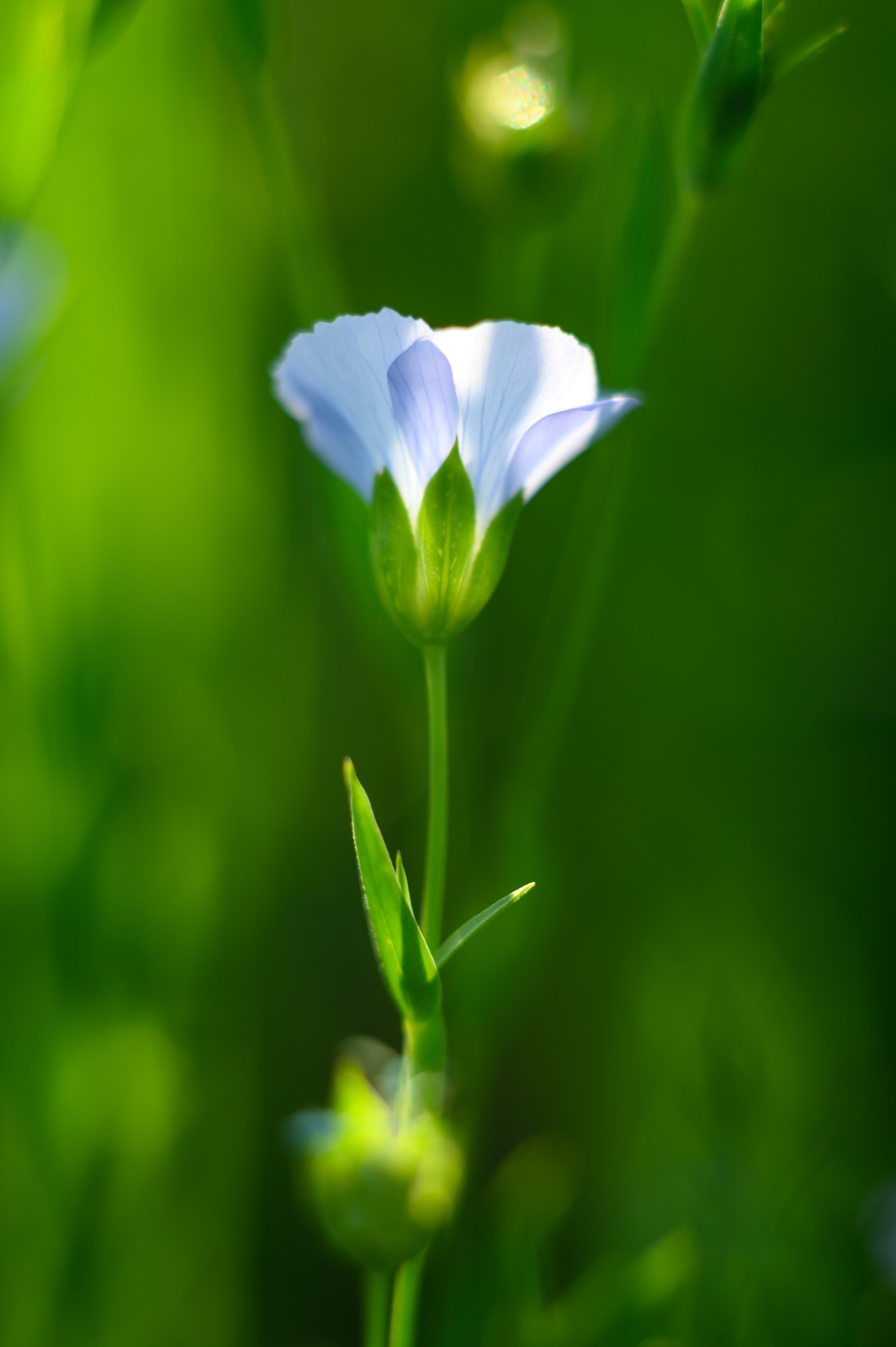 фотосъемка для агропредприятий, фотосъемка сельхозпродукции, фотосъемка для агробизнеса, фотосъемка для сельхозпроизводителей, агрофото, фотосъемка для сельхозкомпаний, фотосъемка сельхозтехники, фотосъемка урожая, агрофотосъемка