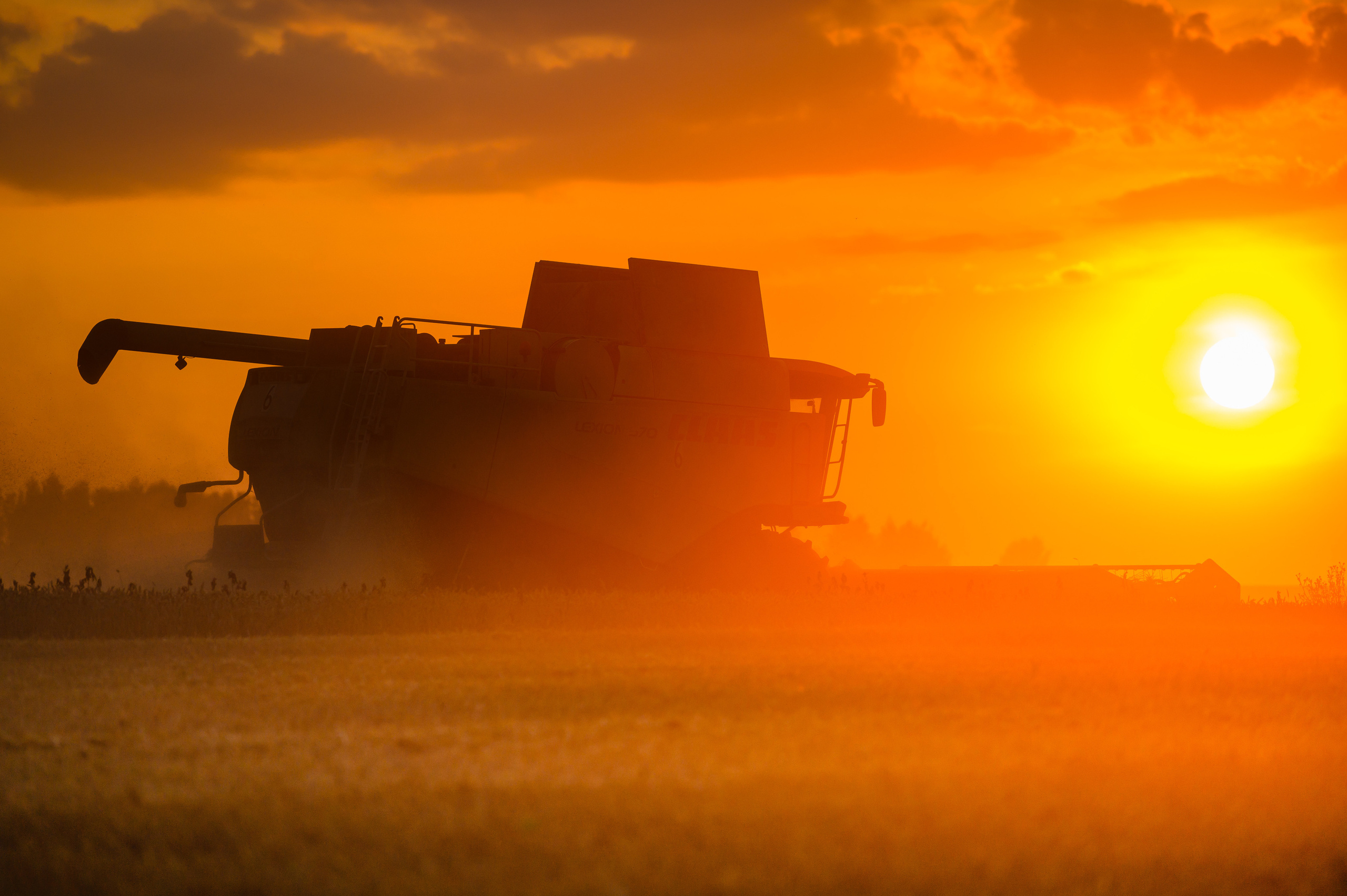 Профессиональный фотограф Вячеслав Плацында | Липецк |