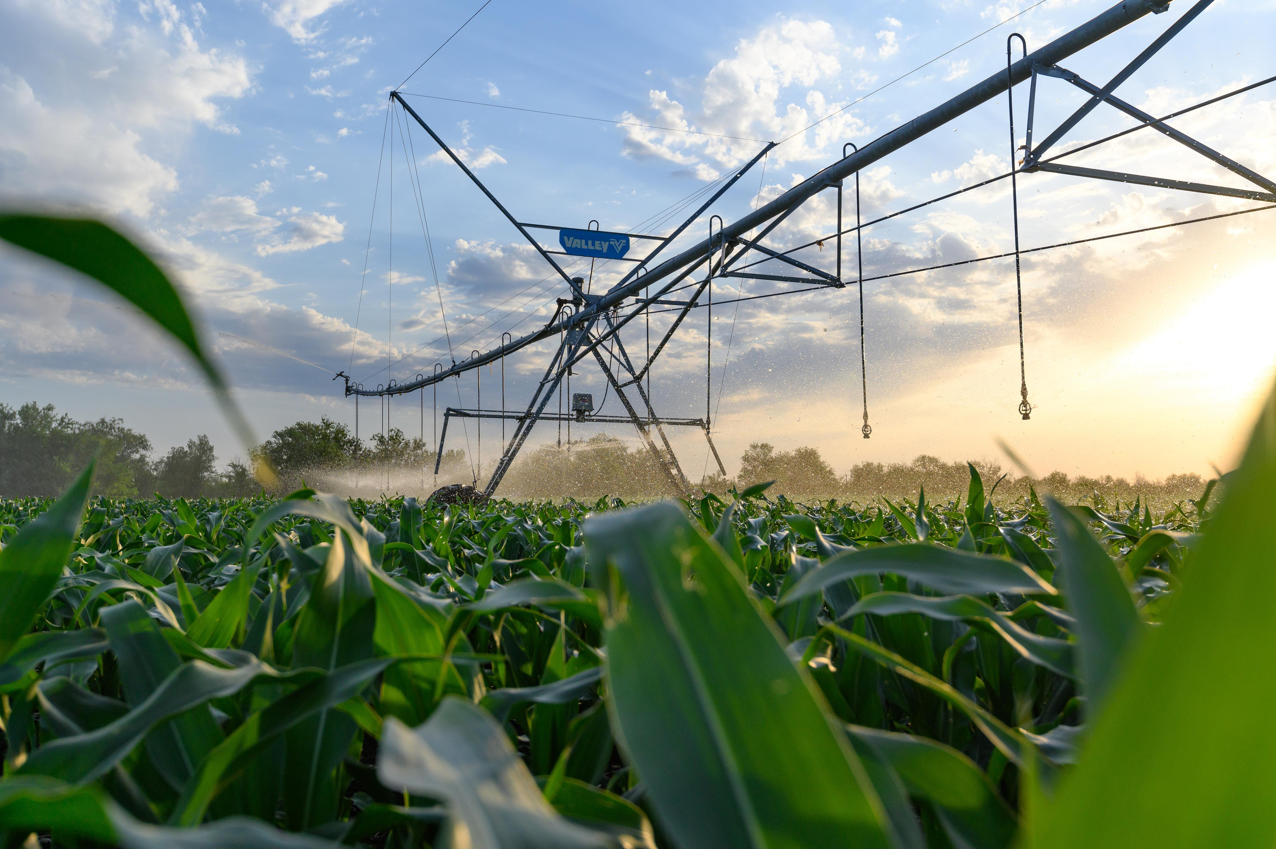 фотосъемка для агропредприятий, фотосъемка сельхозпродукции, фотосъемка для агробизнеса, фотосъемка для сельхозпроизводителей, агрофото, фотосъемка для сельхозкомпаний, фотосъемка сельхозтехники, фотосъемка урожая, агрофотосъемка