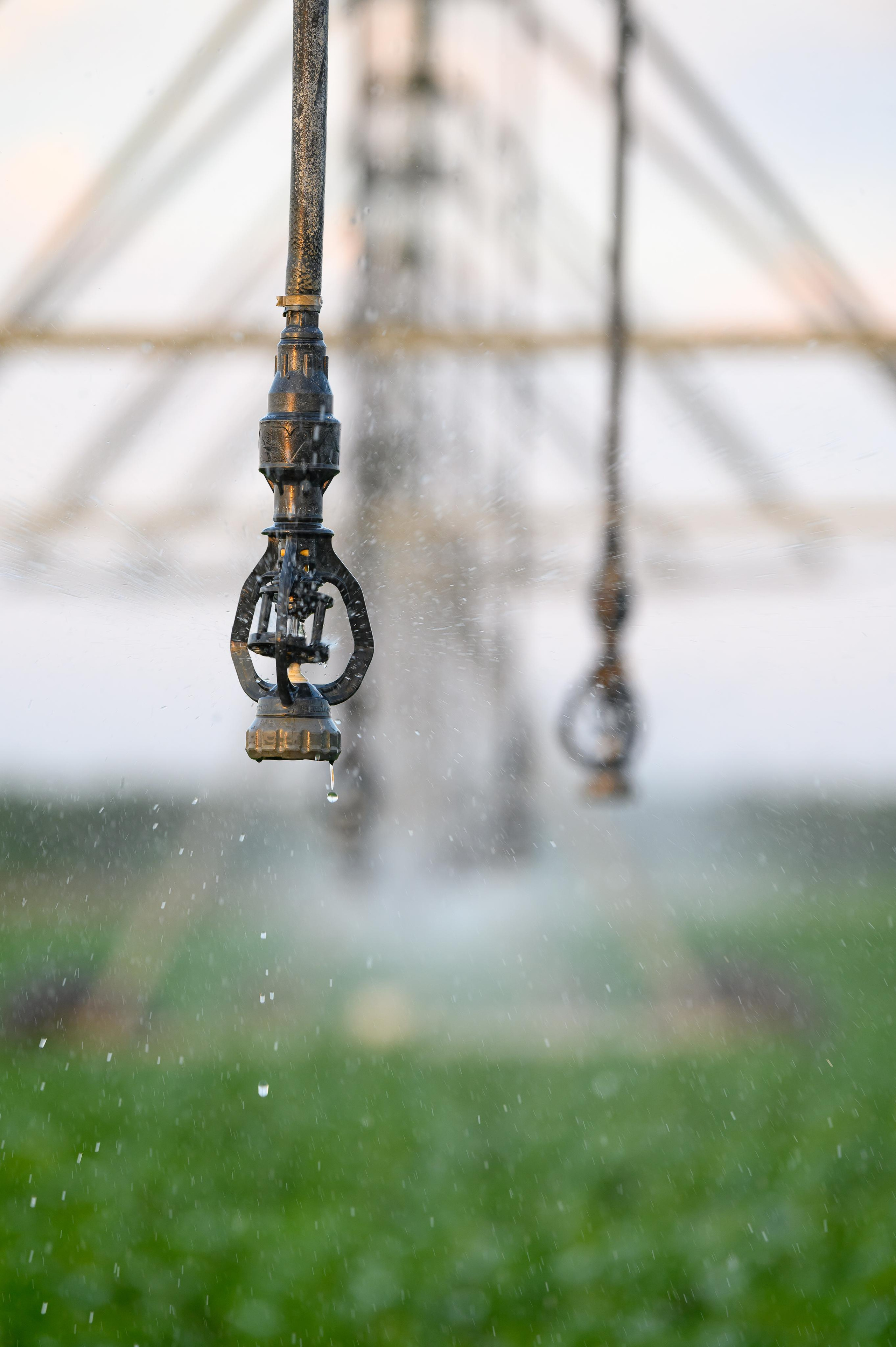 фотосъемка для агропредприятий, фотосъемка сельхозпродукции, фотосъемка для агробизнеса, фотосъемка для сельхозпроизводителей, агрофото, фотосъемка для сельхозкомпаний, фотосъемка сельхозтехники, фотосъемка урожая, агрофотосъемка